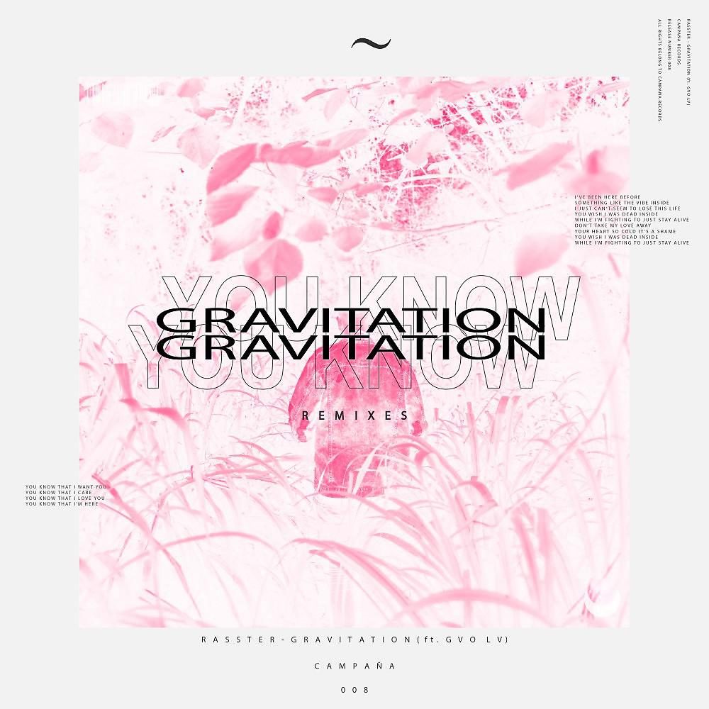 Постер альбома Gravitation (The Remixes)