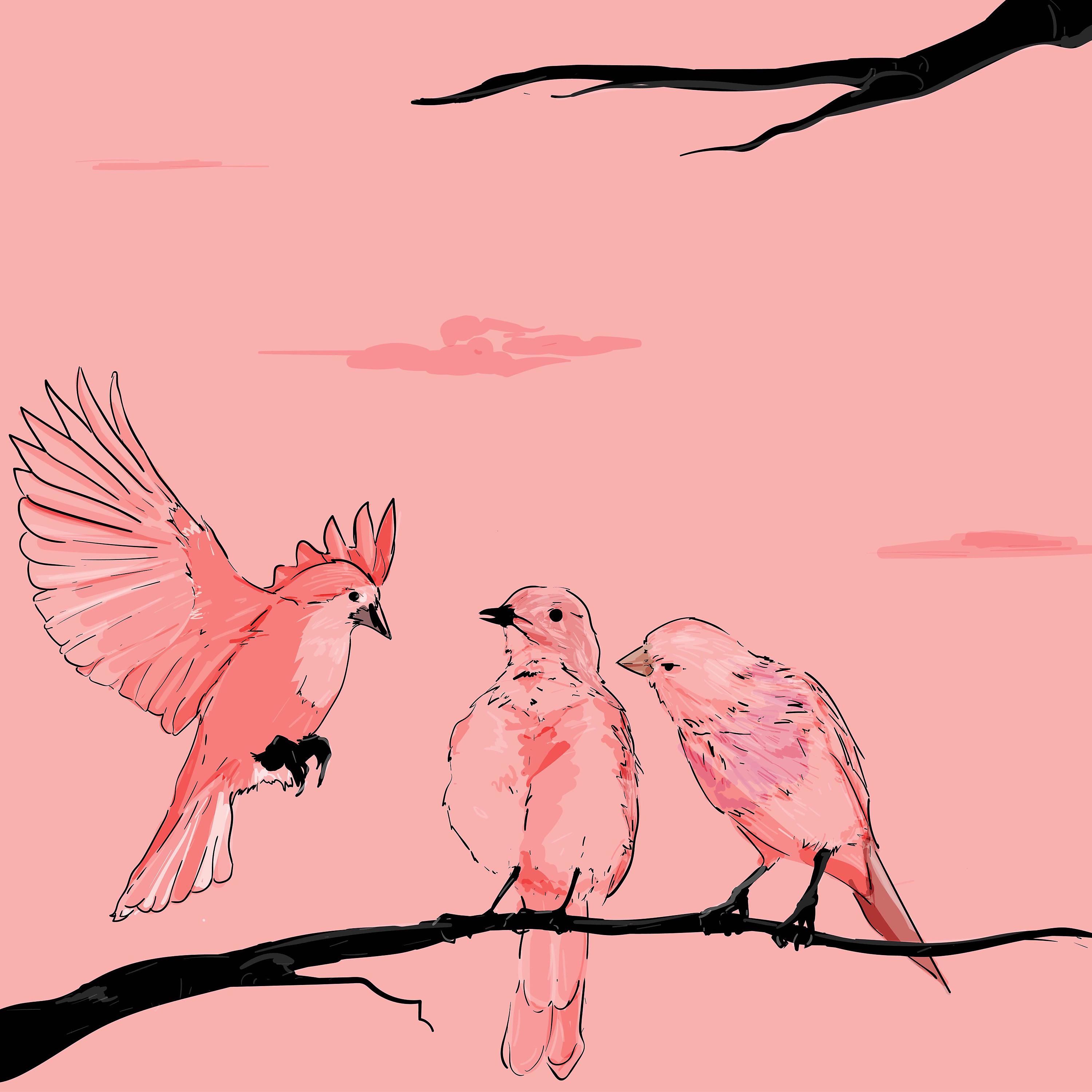 Постер альбома birds