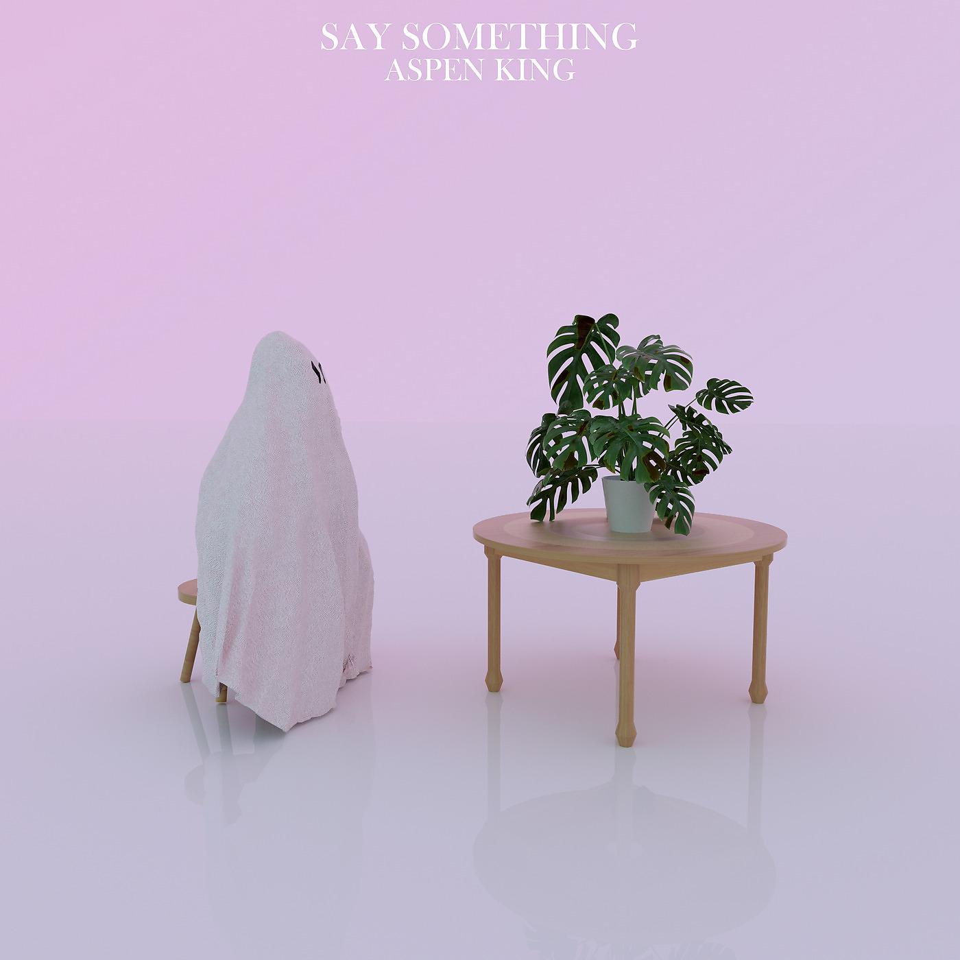 Постер альбома Say Something