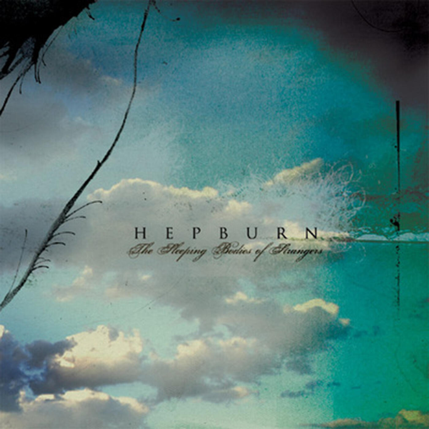 Hepburn - Aquiline