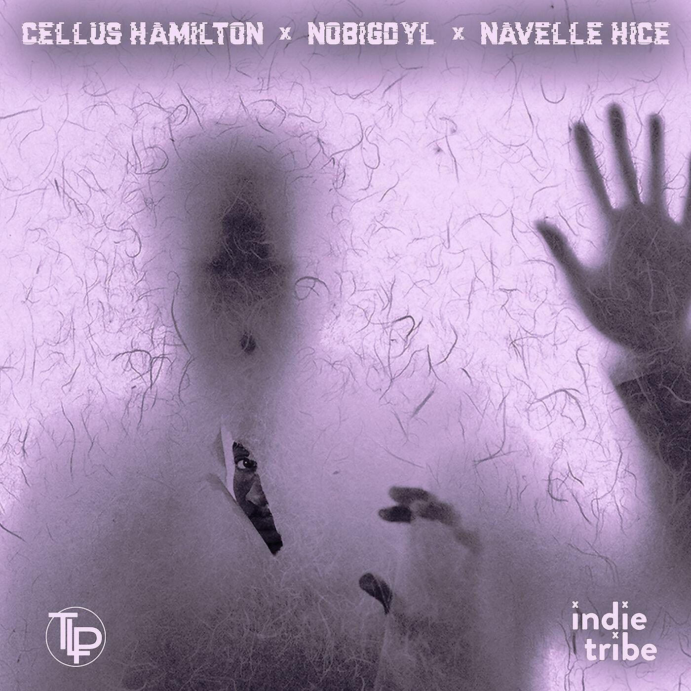 Cellus Hamilton - Public Privacy (feat. Nobigdyl & Navelle Hice)