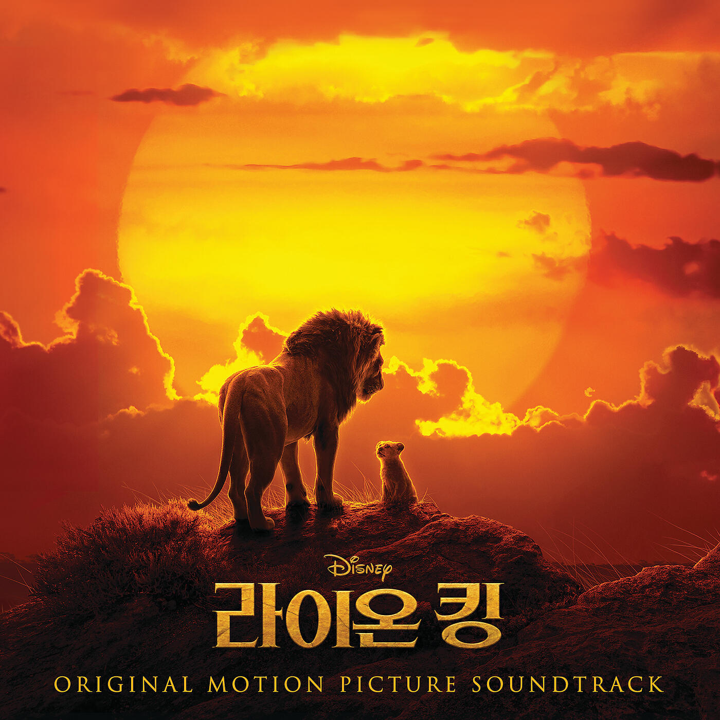 Seung-Eun Do - Circle of Life/Nants' Ingonyama