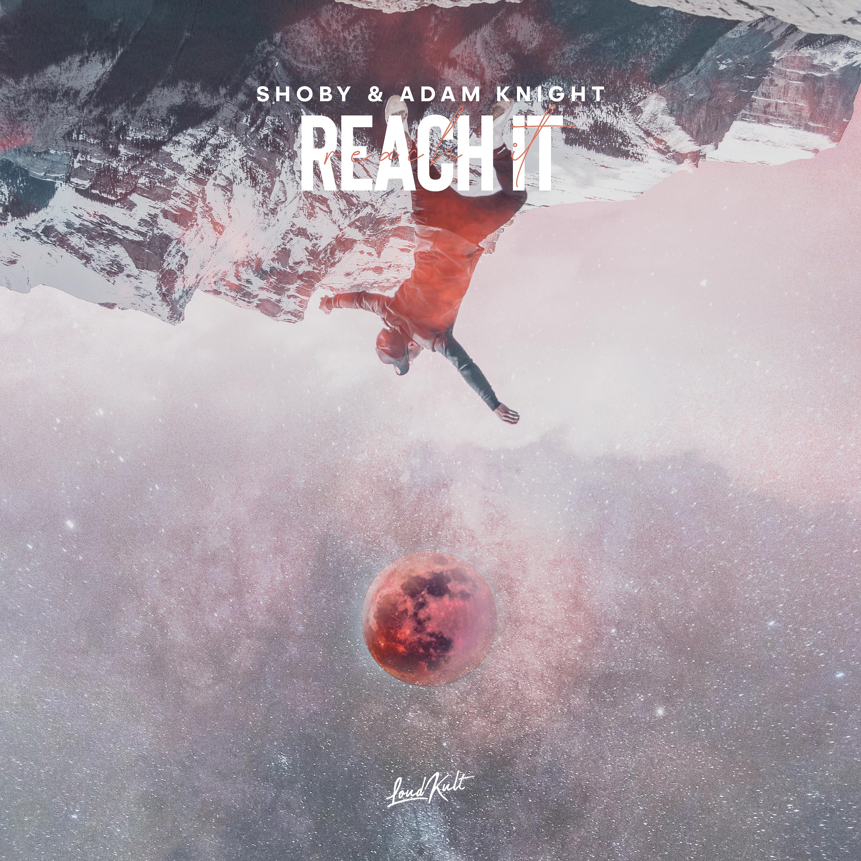 Постер альбома Reach It