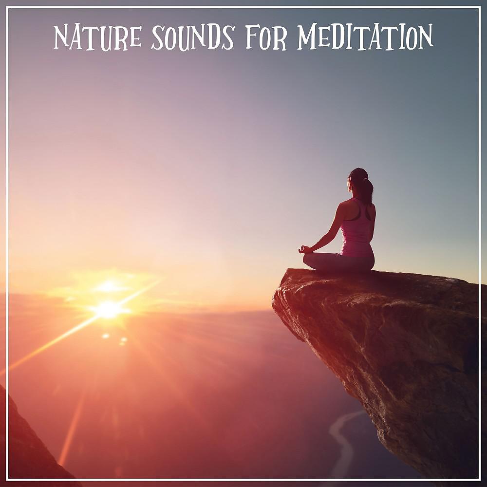 Постер альбома Nature Sounds for Meditation