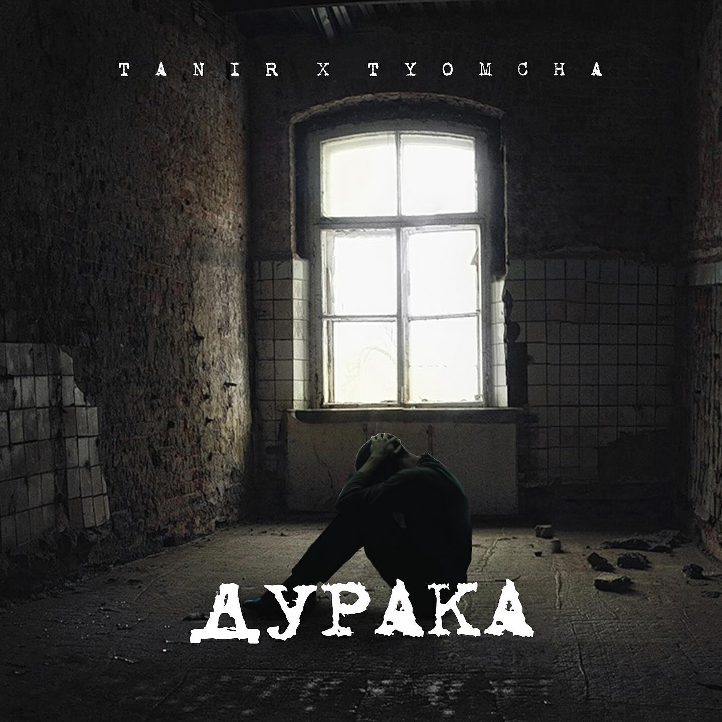 Tanir - Дурака