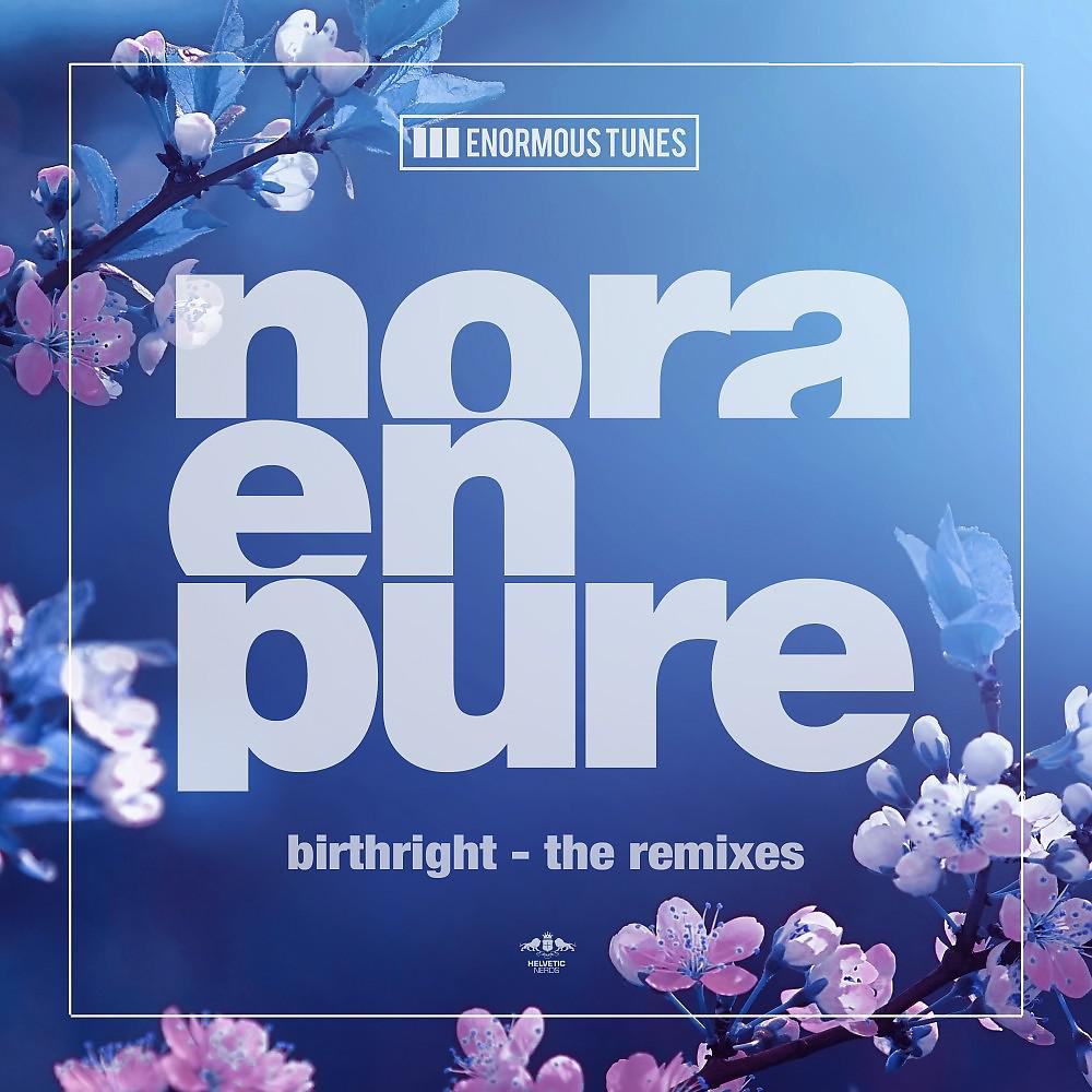 Постер альбома Birthright (The Remixes)