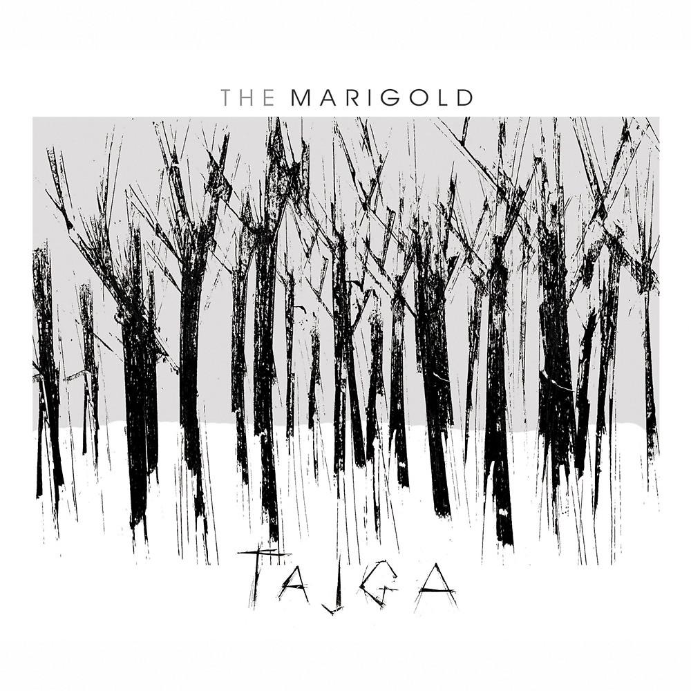 Постер альбома Tajga (Reissue 2012)