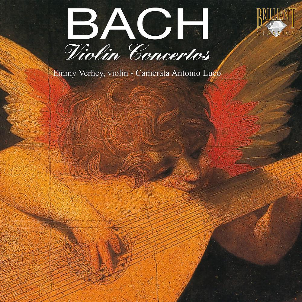 Amsterdam Bach Soloists - Concerto for 3 Violins, Strings & B.C. In D Major, BWV 1064: II. Adagio