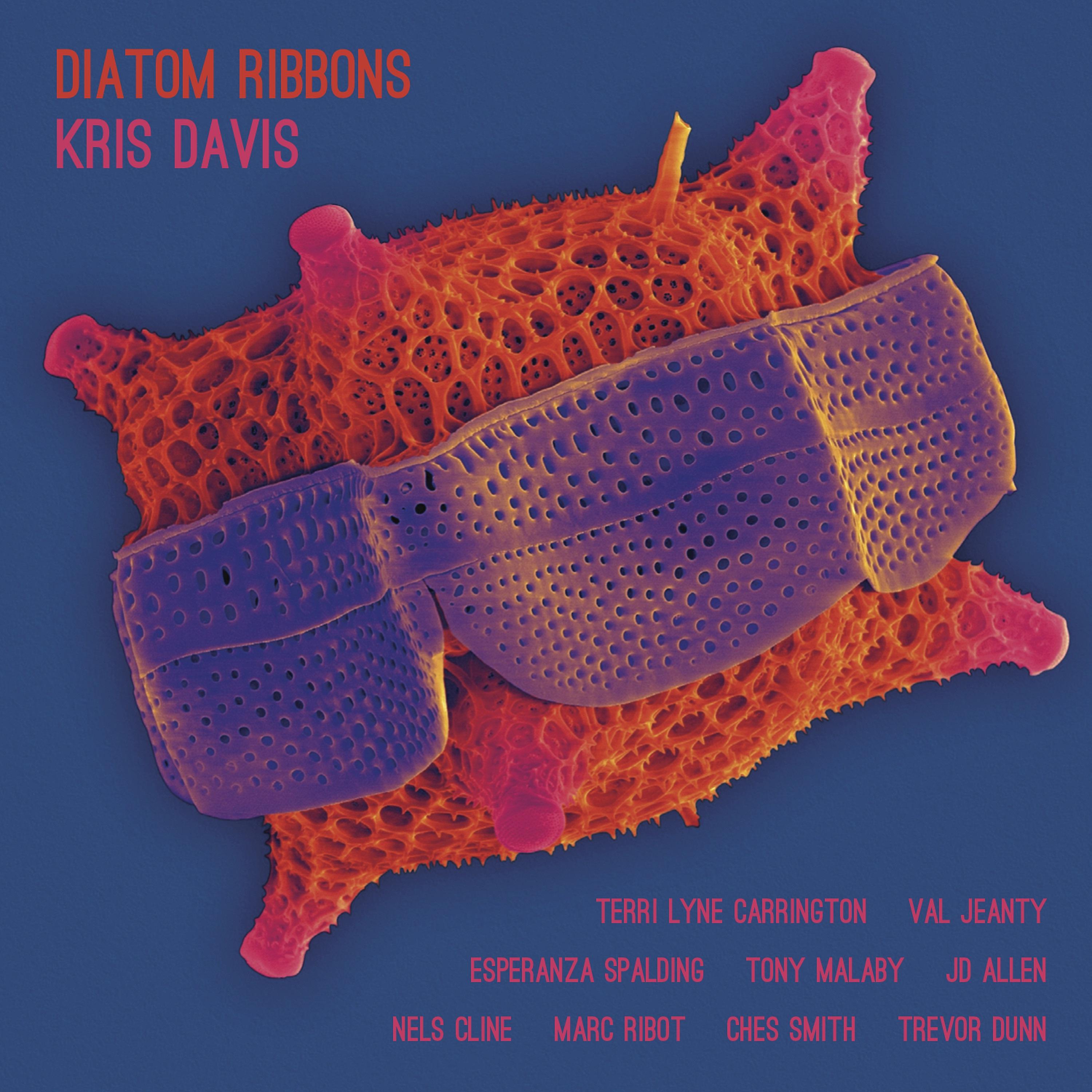 Постер альбома Diatom Ribbons