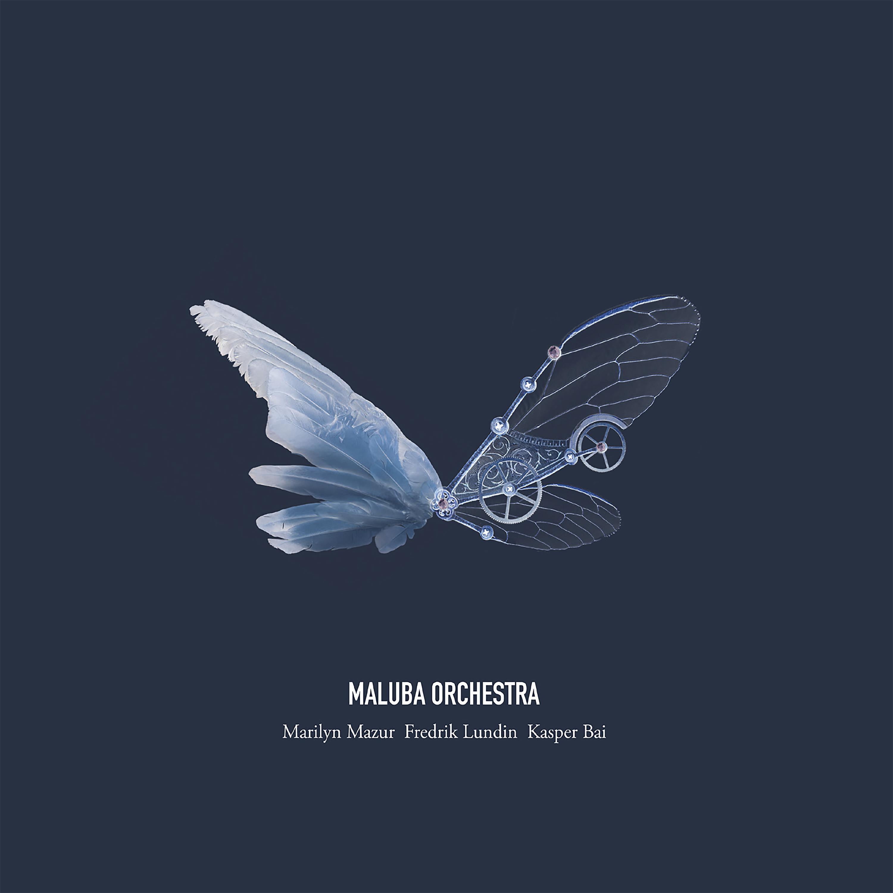 Постер альбома Maluba Orchestra