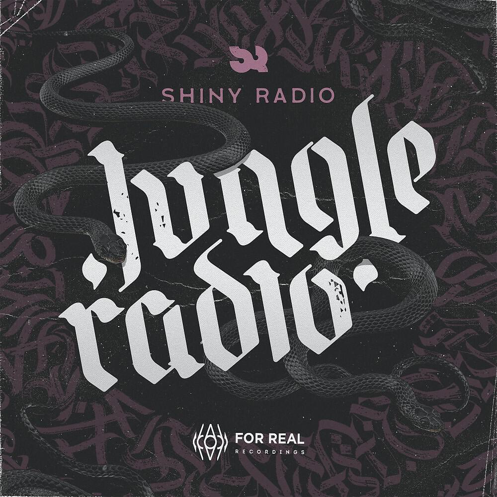 Shiny Radio - Third Orbit (Original Mix)