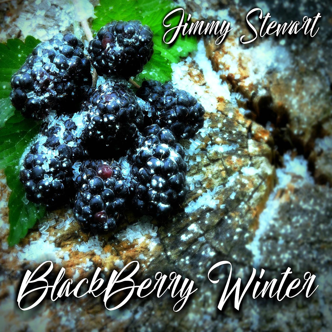 Постер альбома BlackBerry Winter
