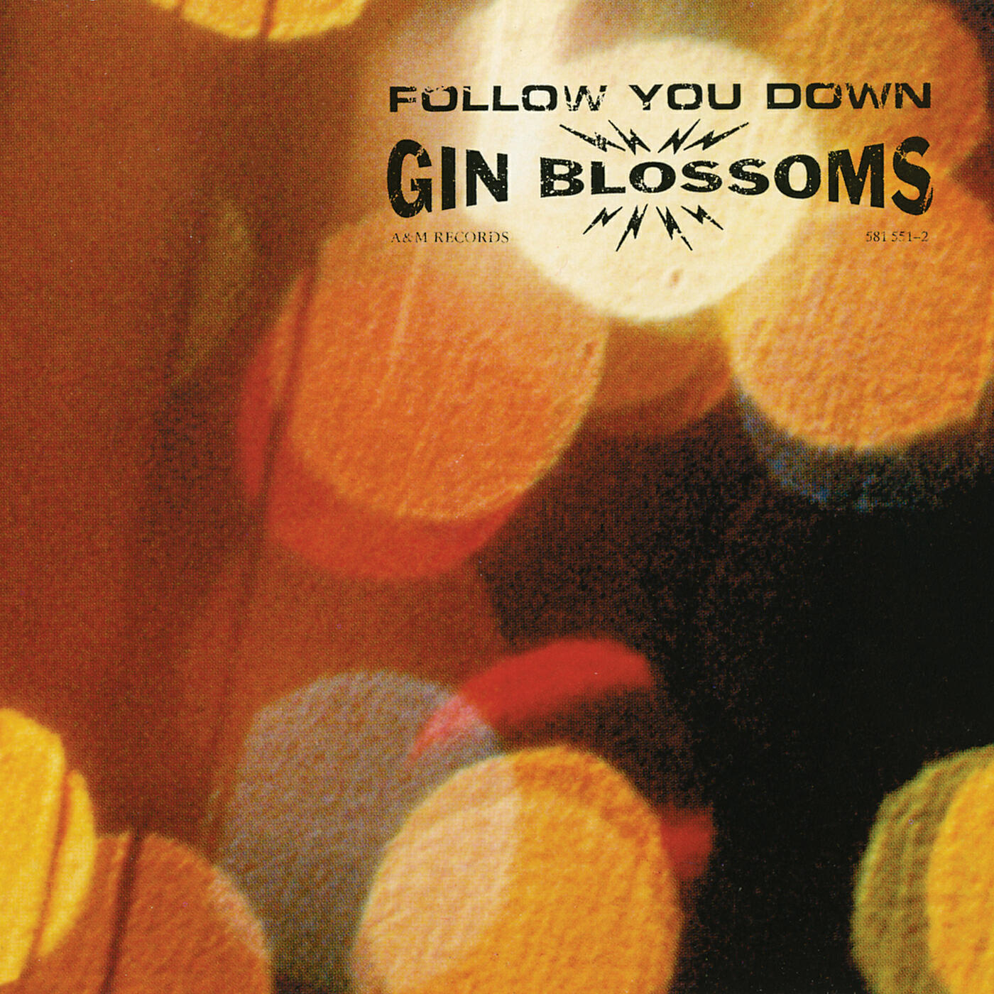 Gin Blossoms - Follow You Down (Edit)