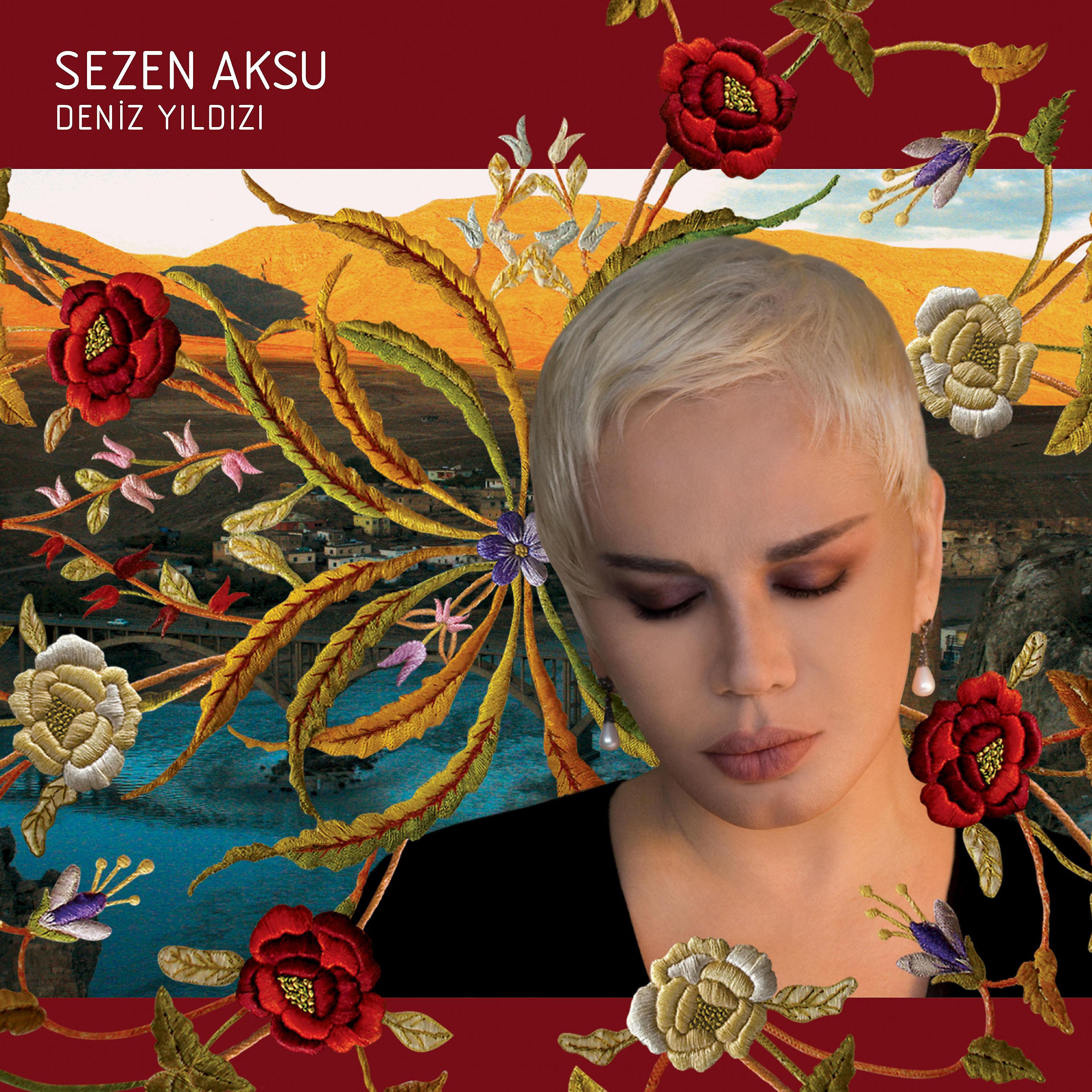 Постер альбома Deniz Yıldızı
