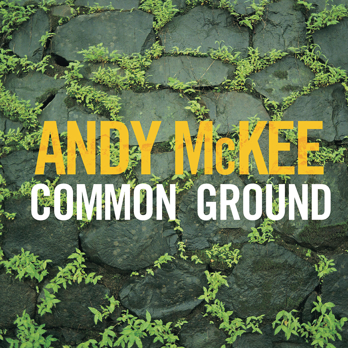 Andy McKee - When She Cries