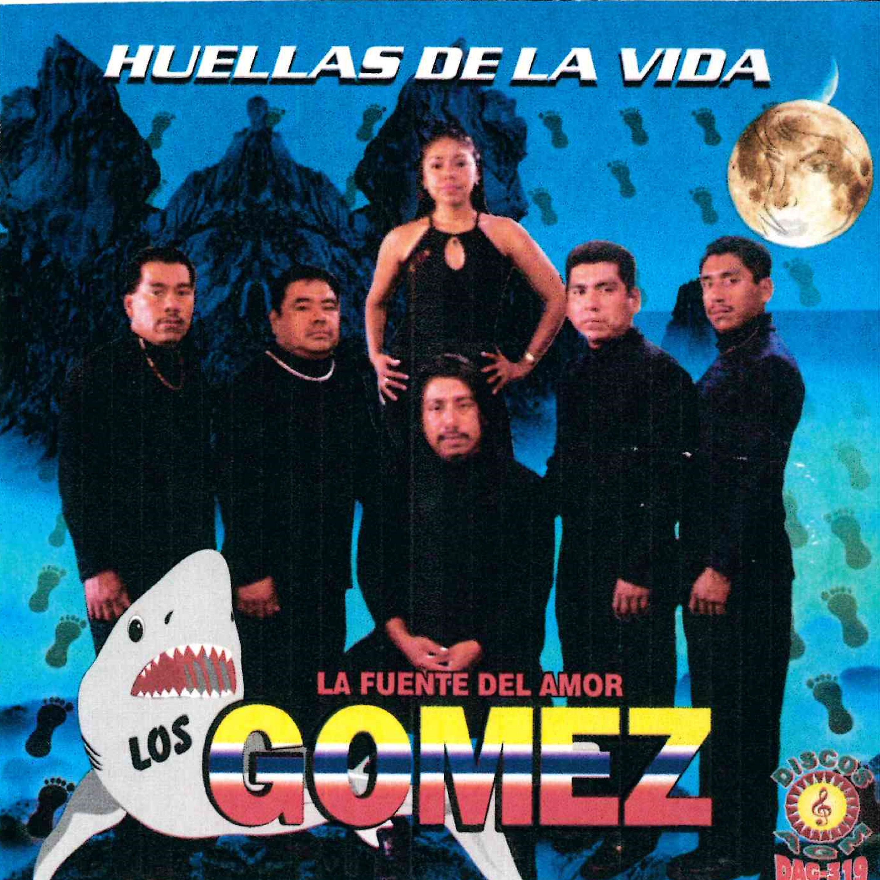 Постер альбома Huellas de la Vida