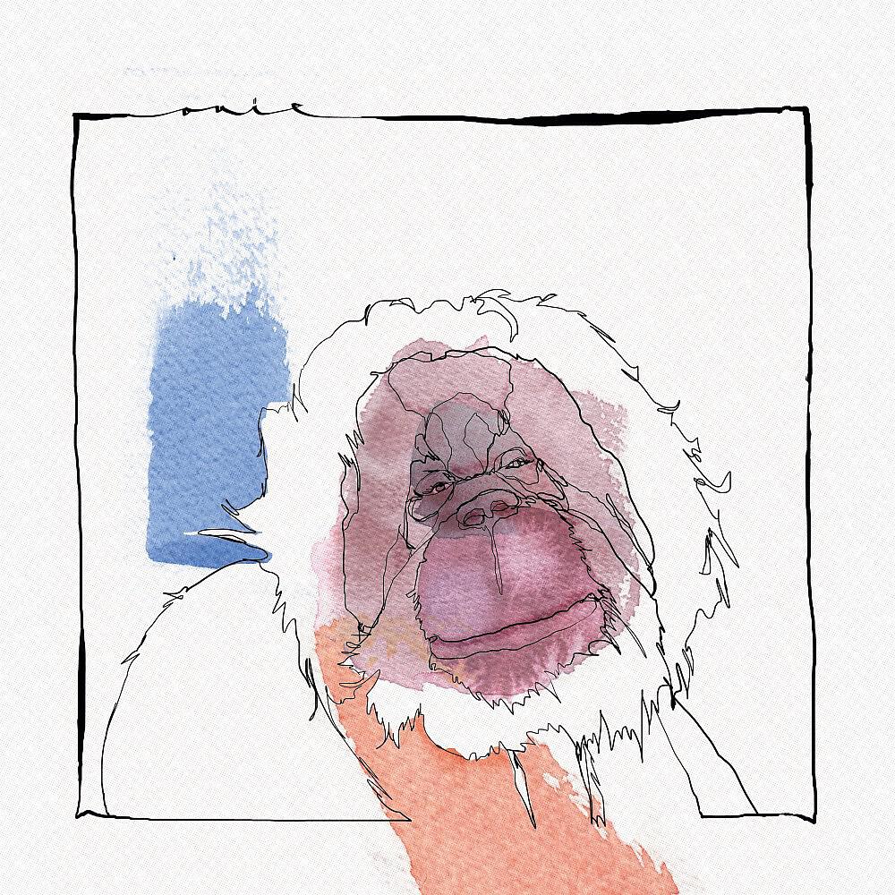 Acid Pauli - Goran Utan