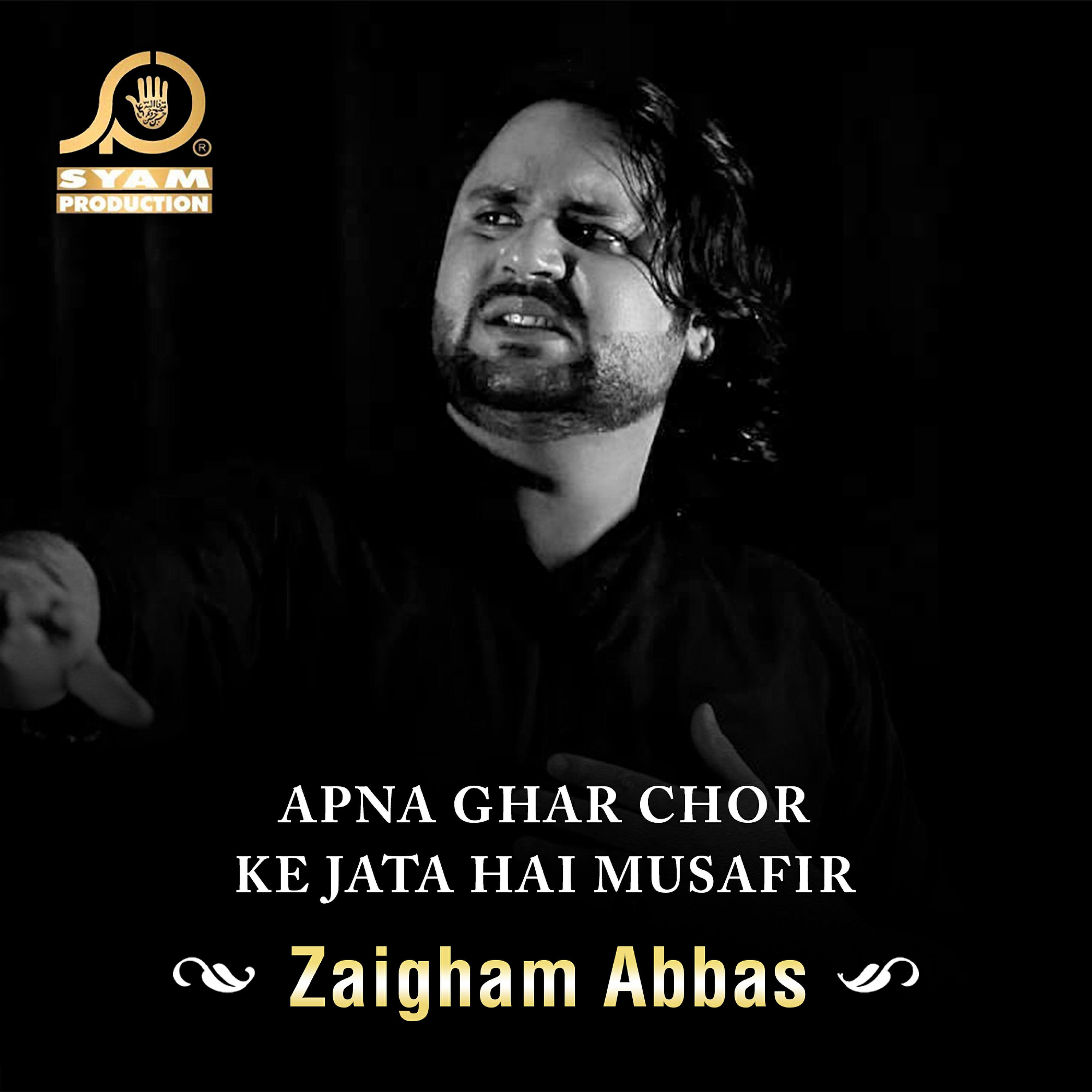 Zaigham Abbas - Tum Mar Gaiy Maa