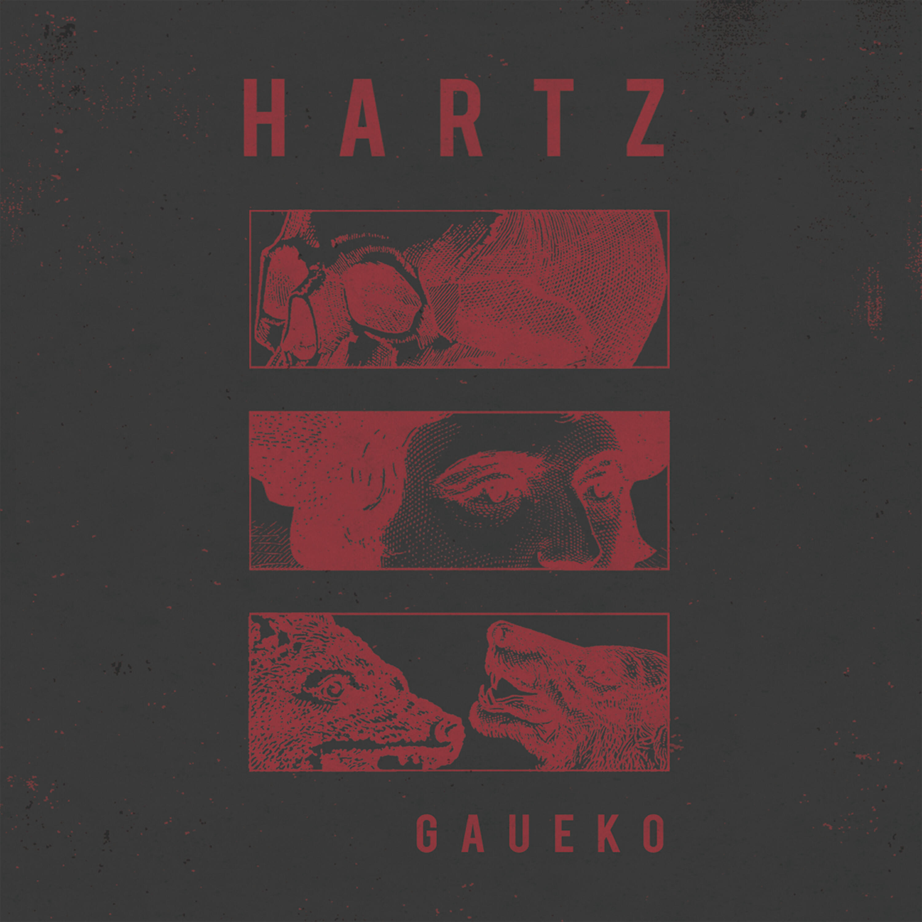 Hartz - Otso