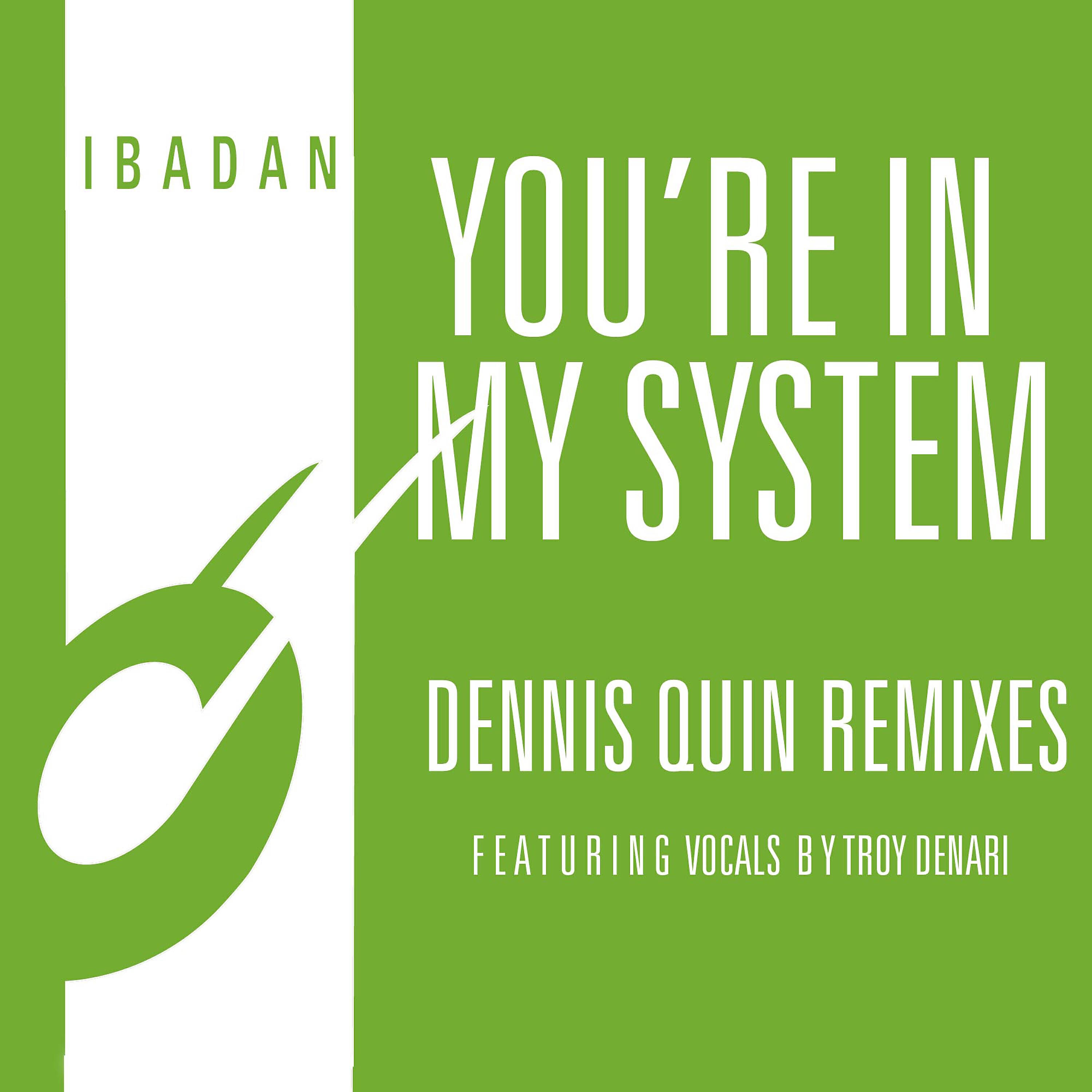 Kerri Chandler - You're In My System (Dennis Quin Atmospheric Dub Mix)