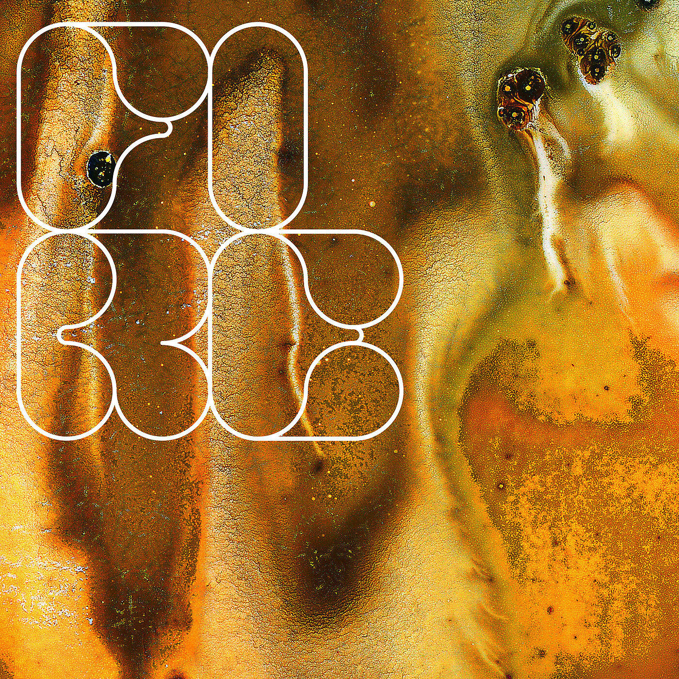 Goldlog - Fire
