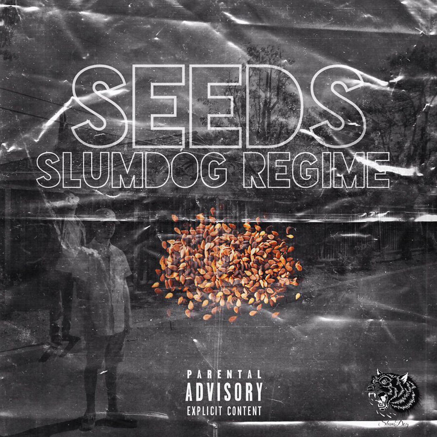 Slumdog Regime - 2 Equipped