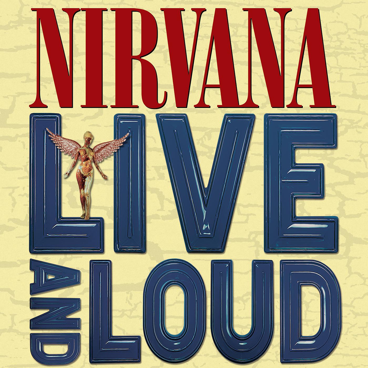 Nirvana - The Man Who Sold The World (Live & Loud)