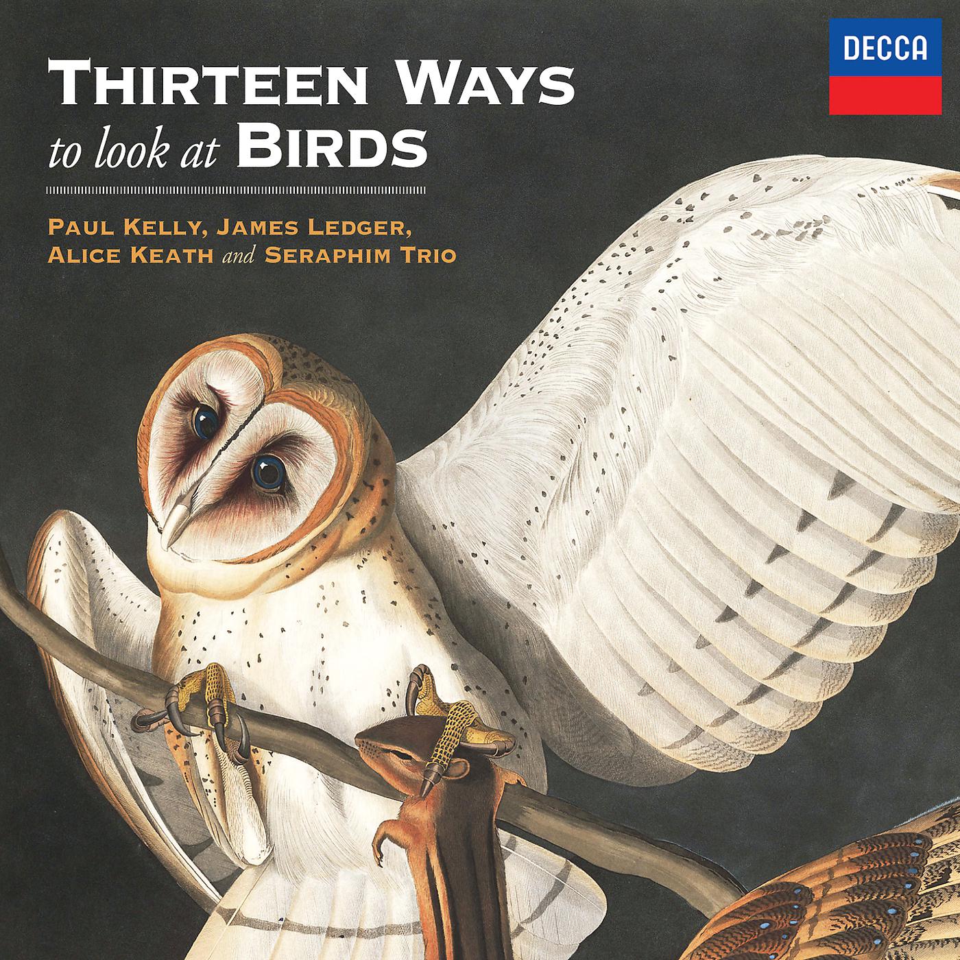 Постер альбома Thirteen Ways To Look At Birds