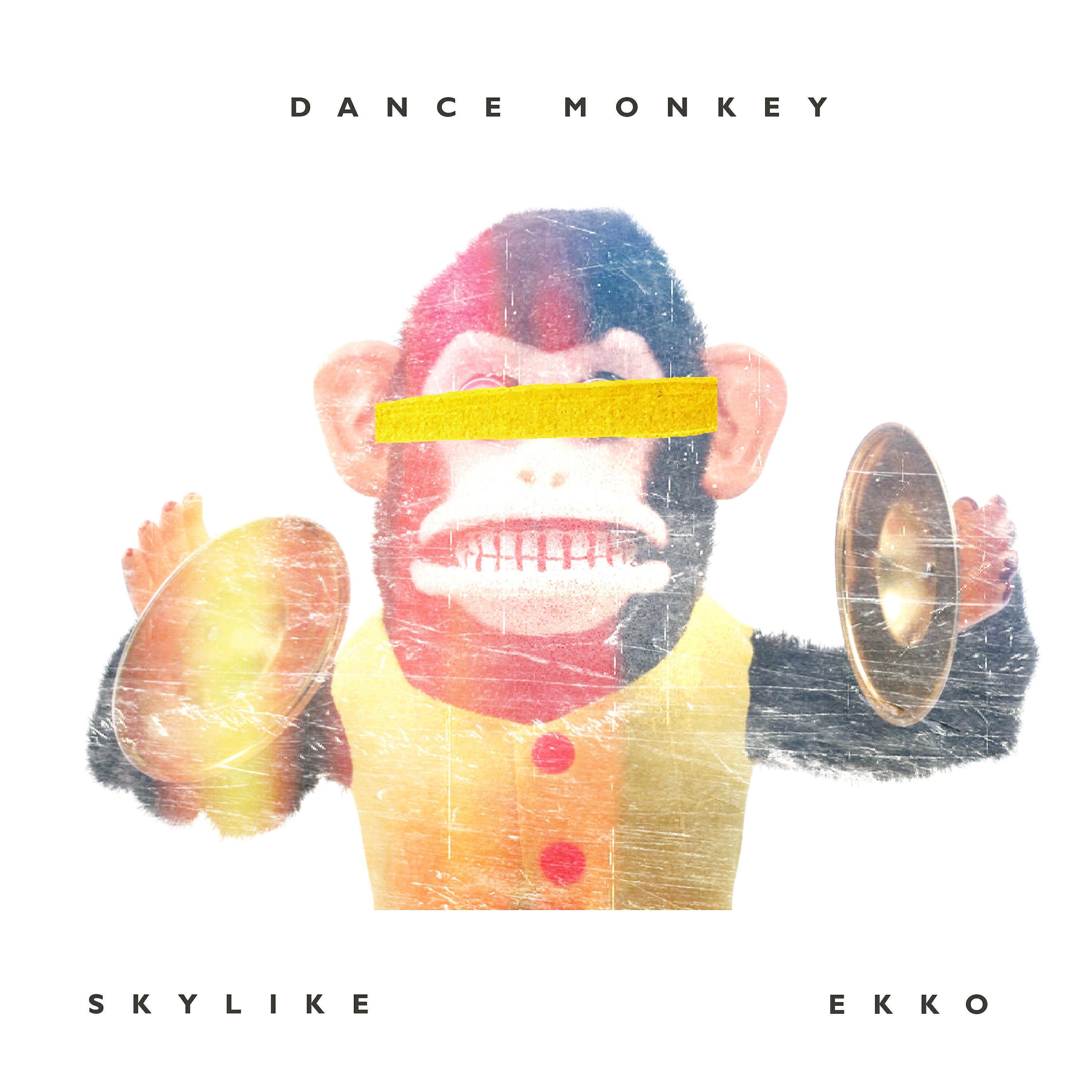 Skylike - Dance Monkey