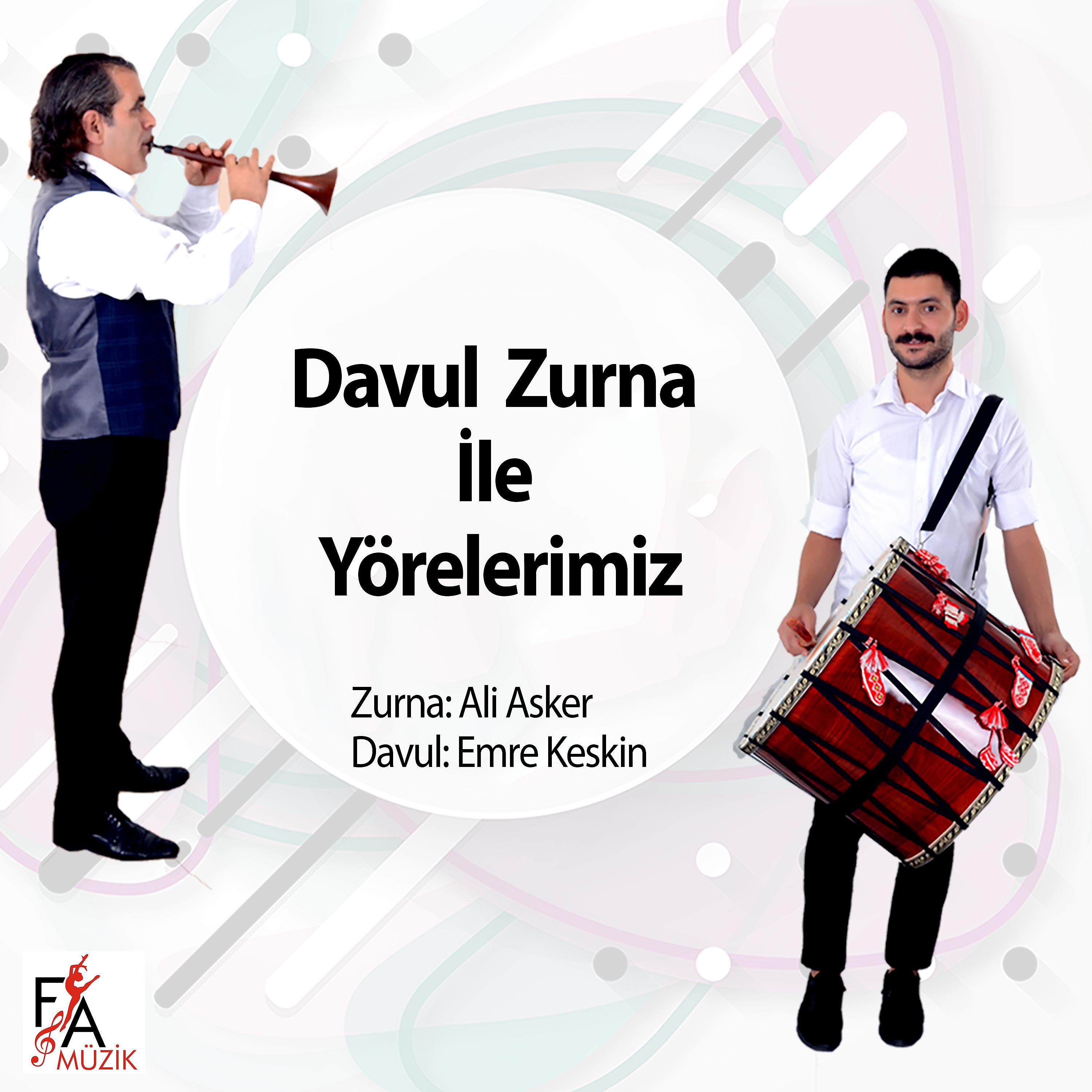 Постер альбома Davul Zurna İle Yörelerimiz