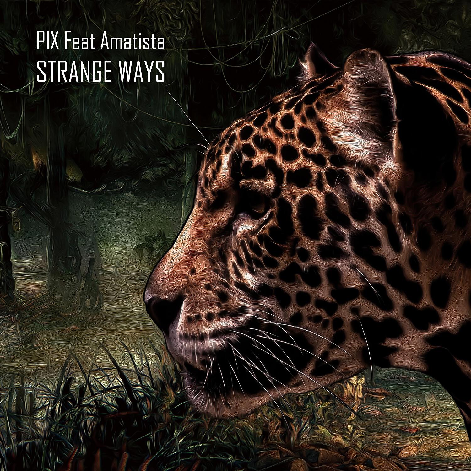 PIX. - Strange Ways (Elegant Ape Remix)