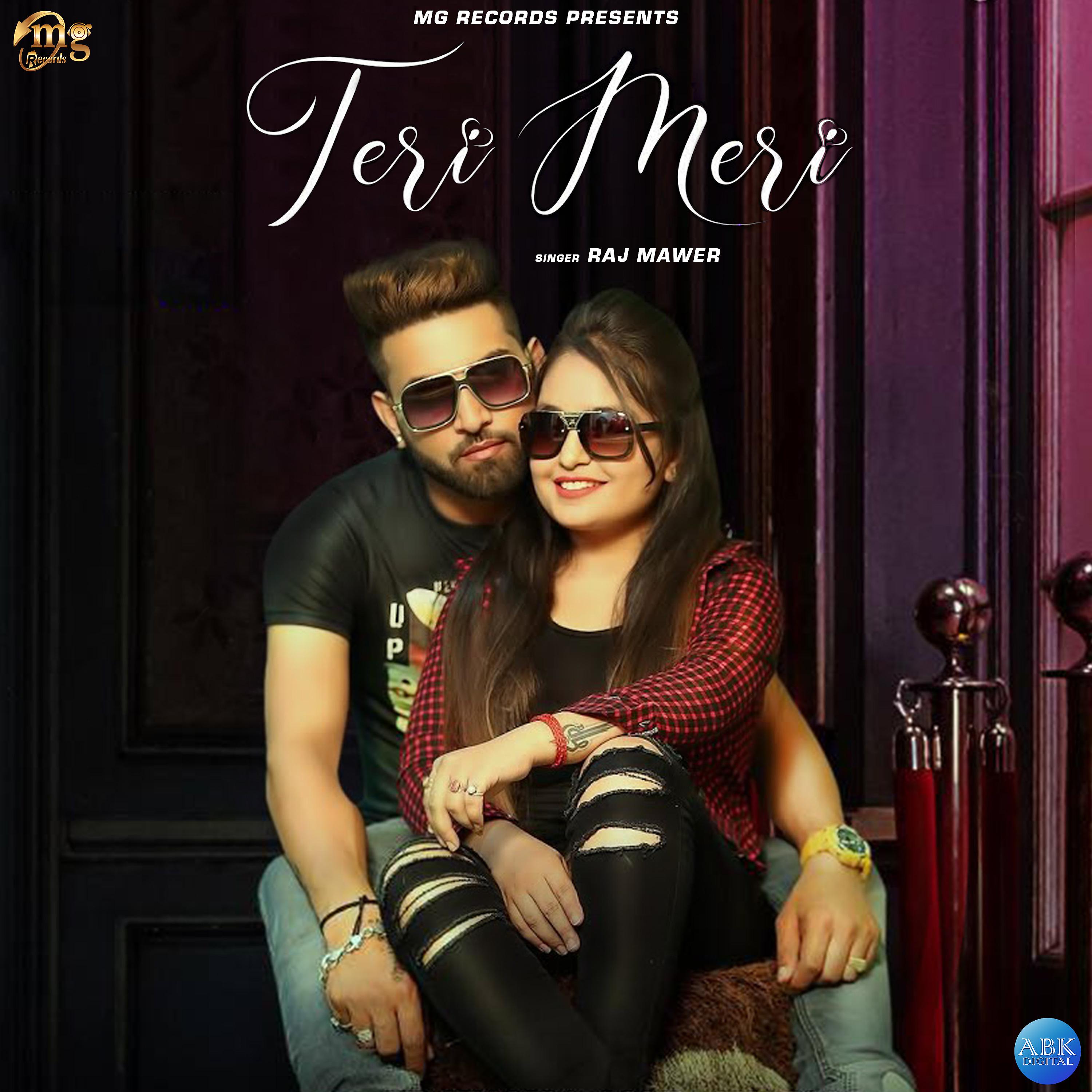 Постер альбома Teri Meri - Single