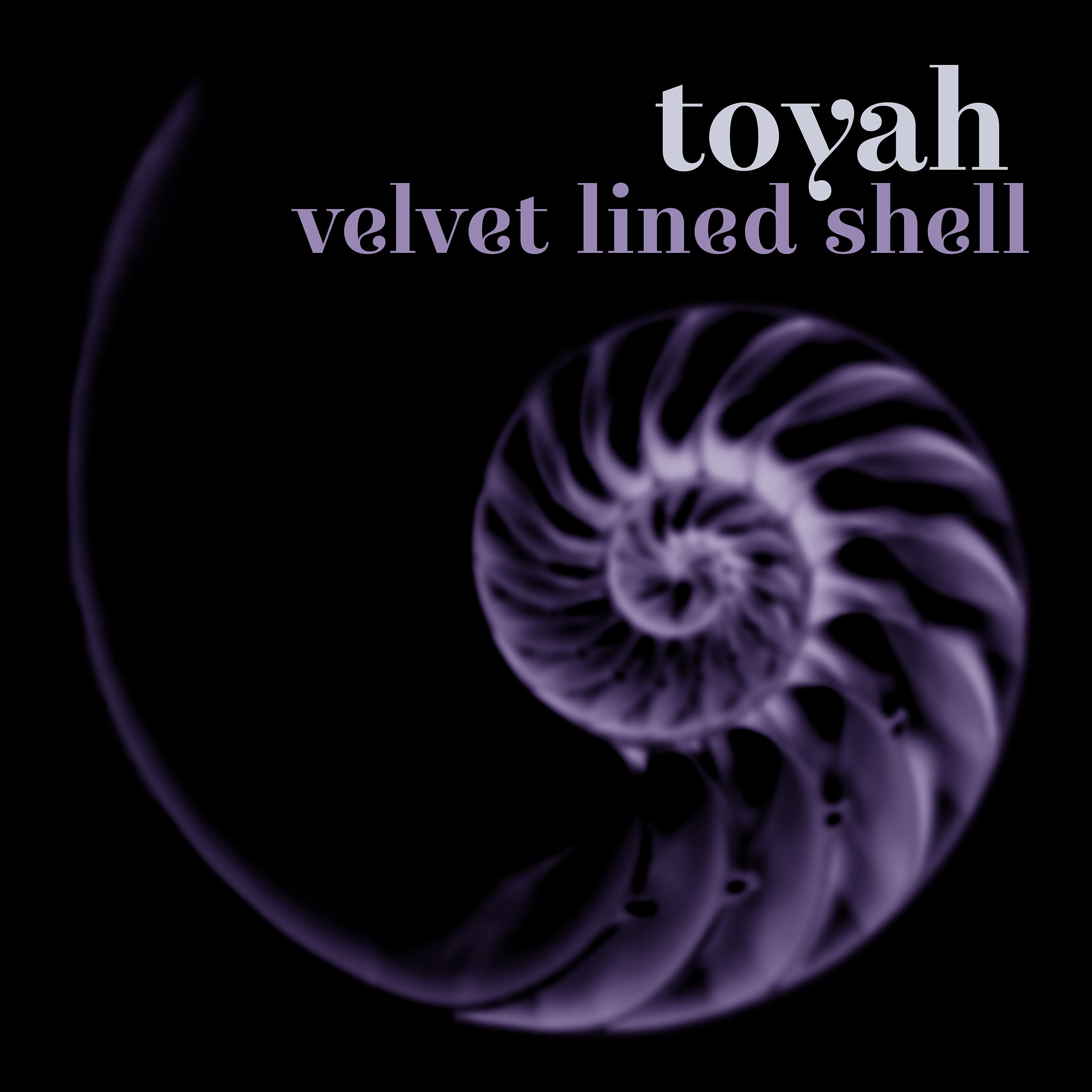 Постер альбома Velvet Lined Shell