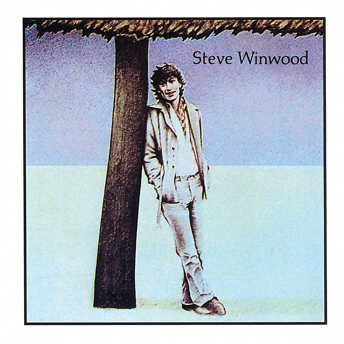 Постер альбома Steve Winwood