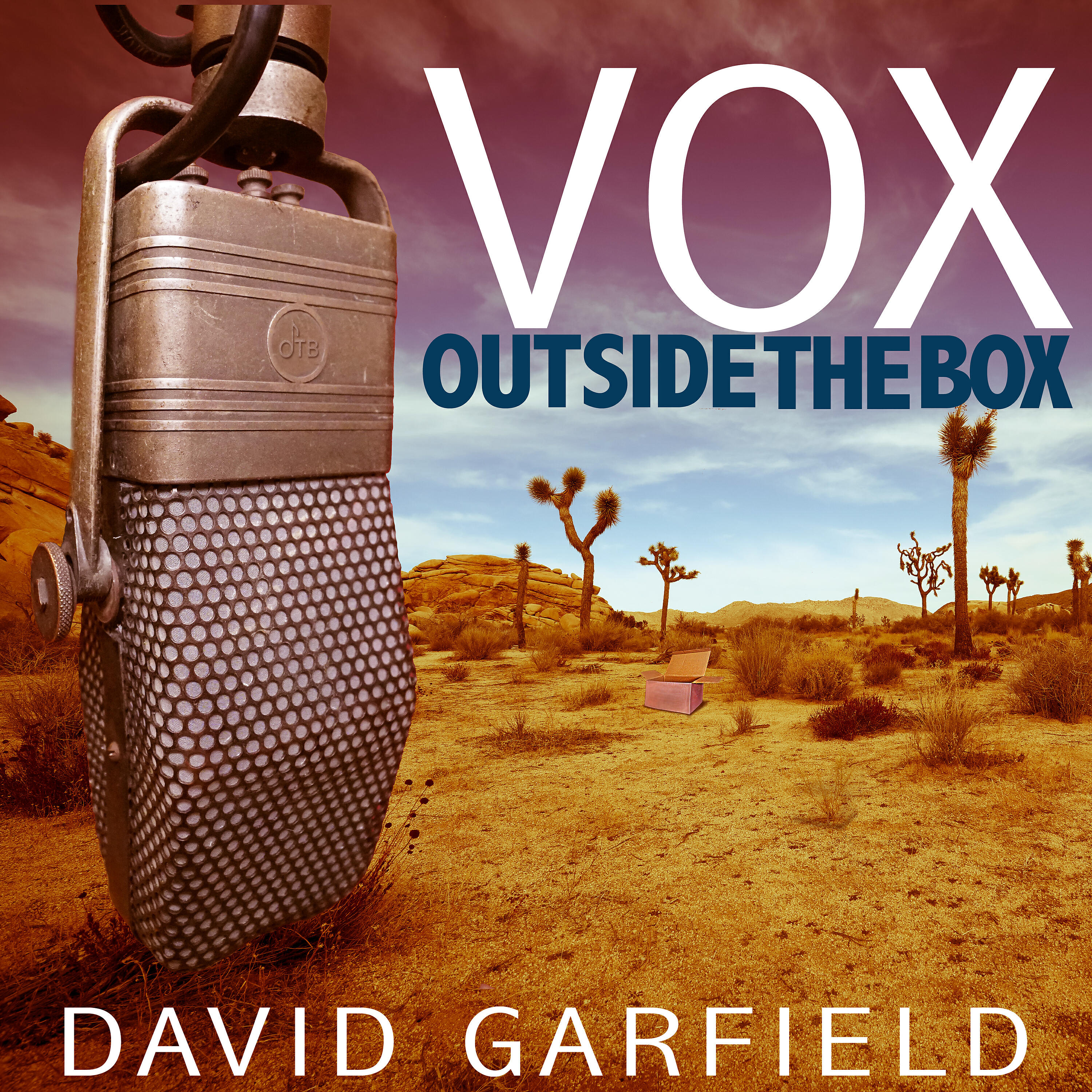 David Garfield - I Lied
