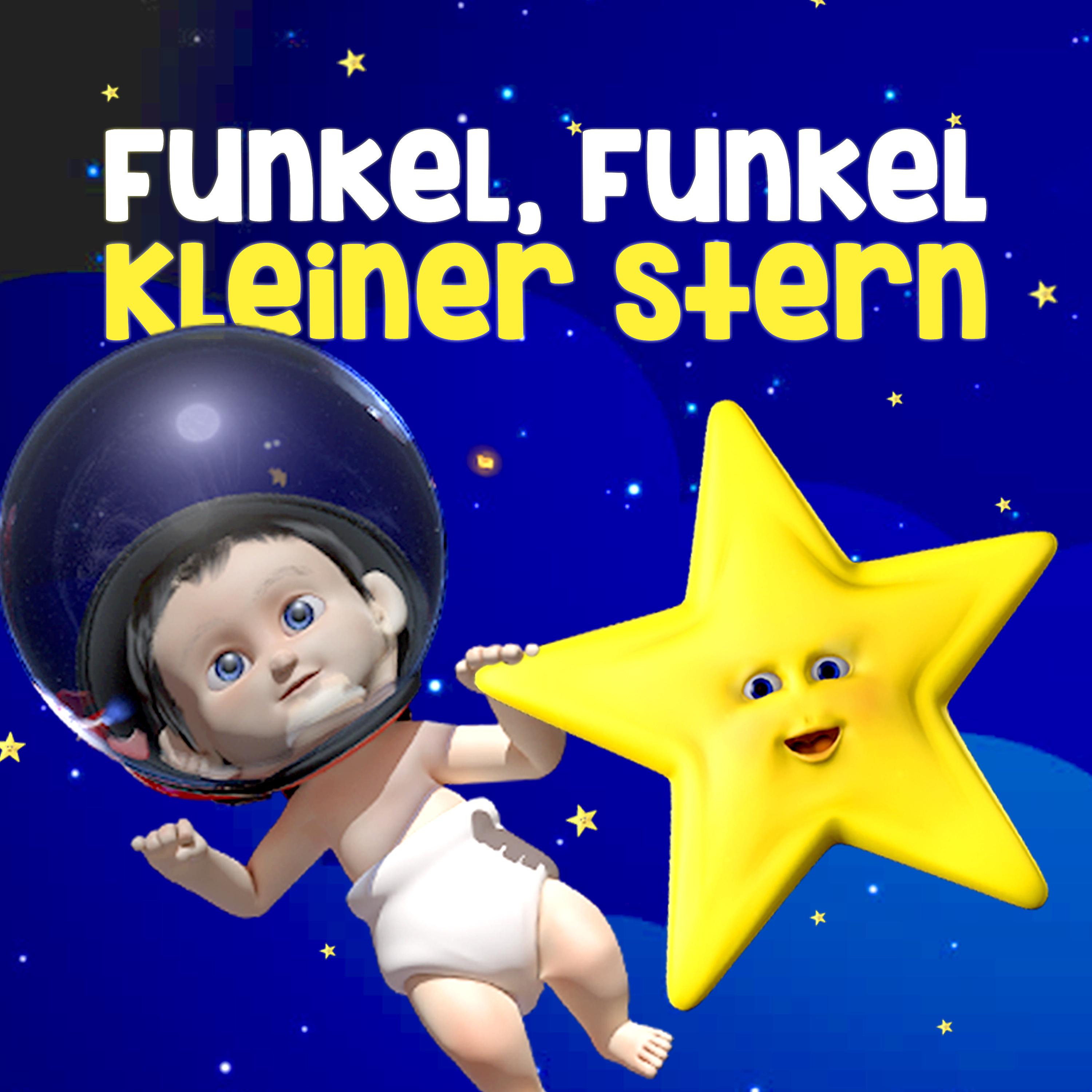 Постер альбома Funkel, funkel, kleiner Stern