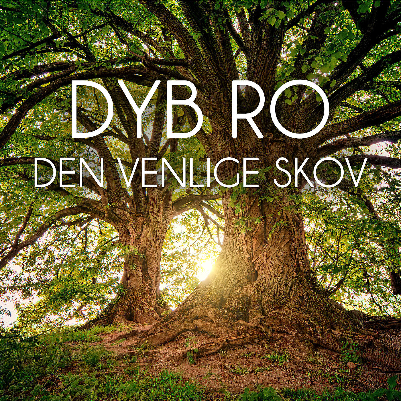 Dyb Ro - Den Venlige Skov  - del 1 (Meditation)