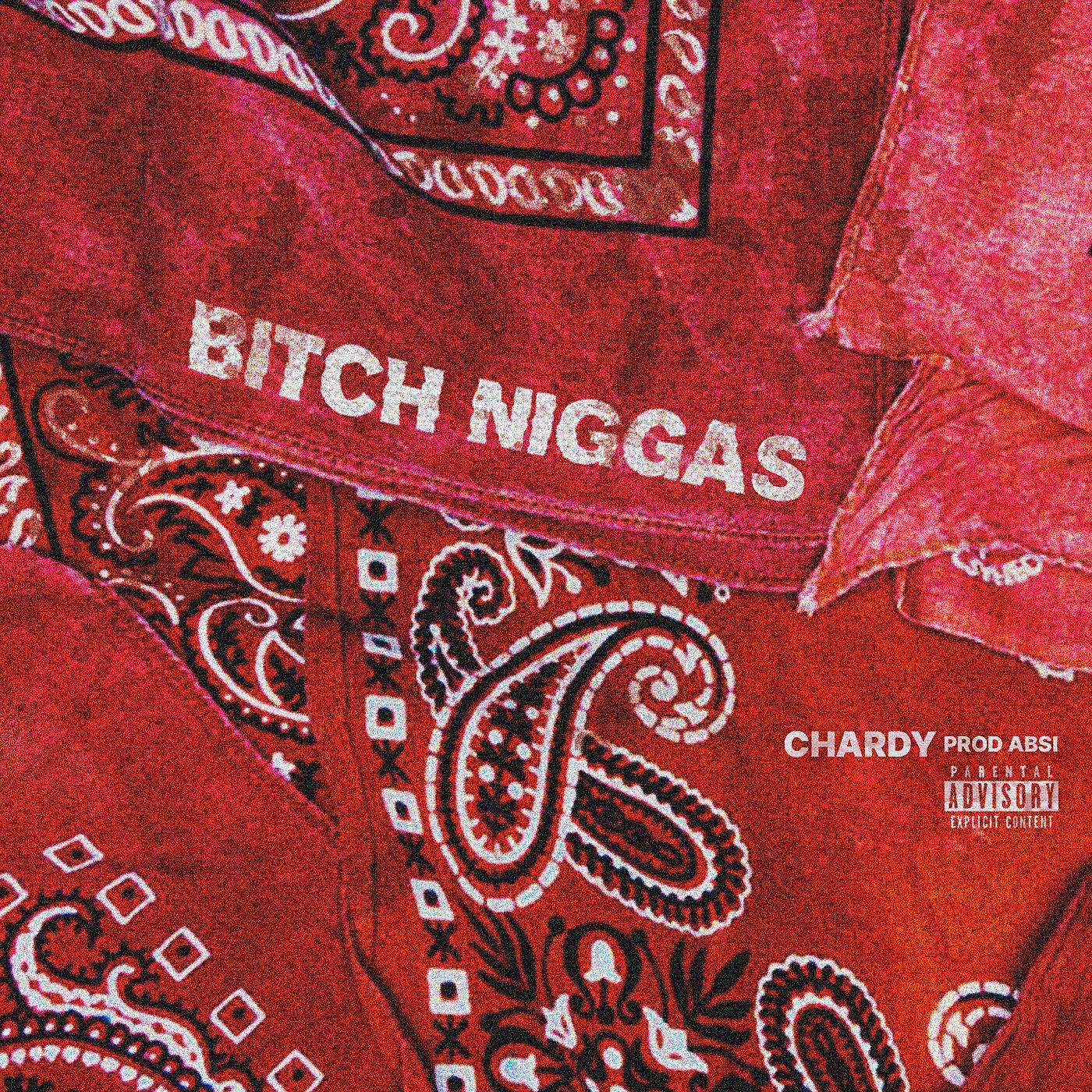 Постер альбома Bitch Niggas