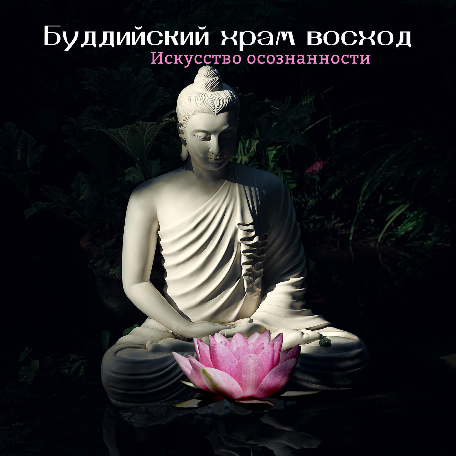 Five Senses Meditation Sanctuary - Тибетские чаши