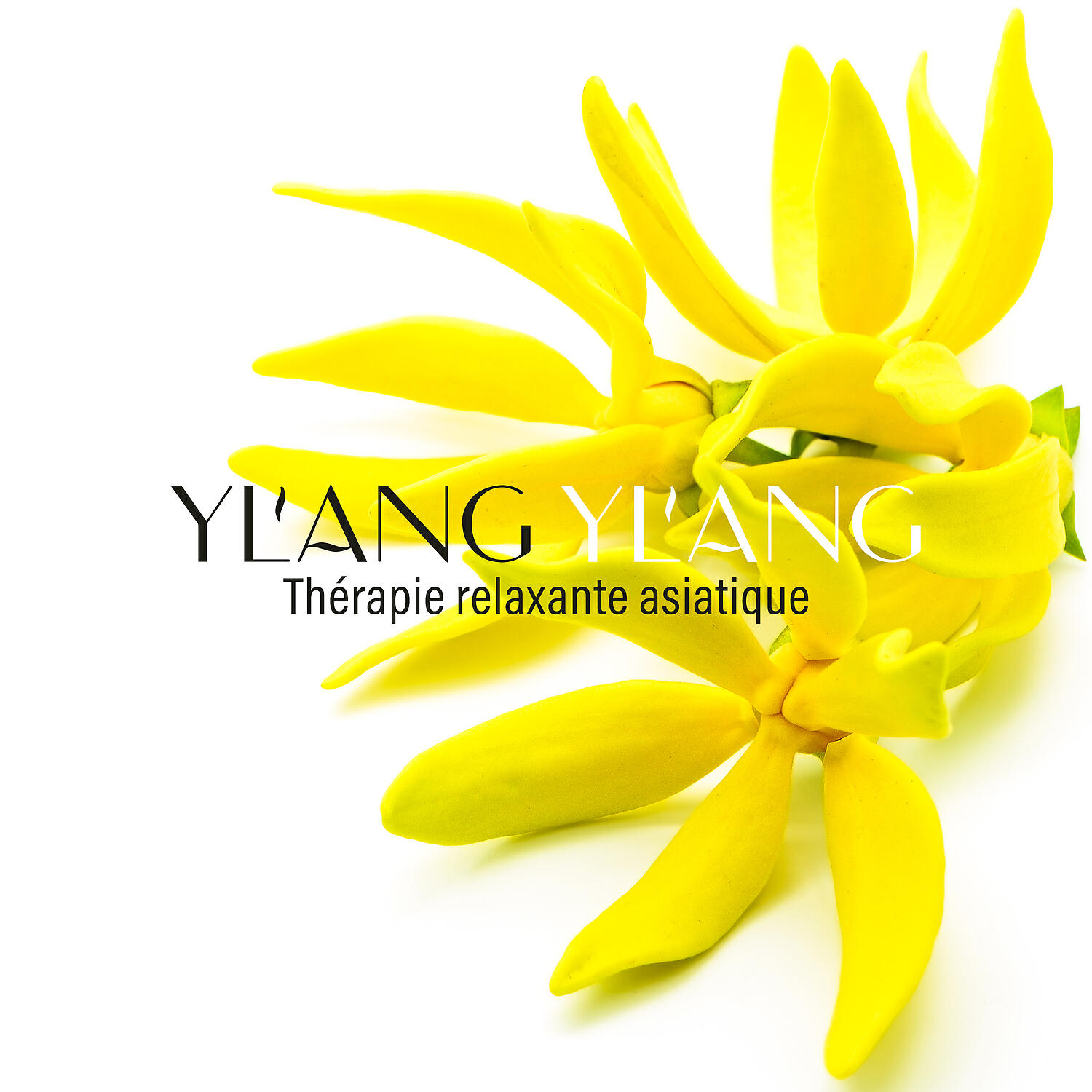 Ensemble de Musique Zen Relaxante - Ylang ylang
