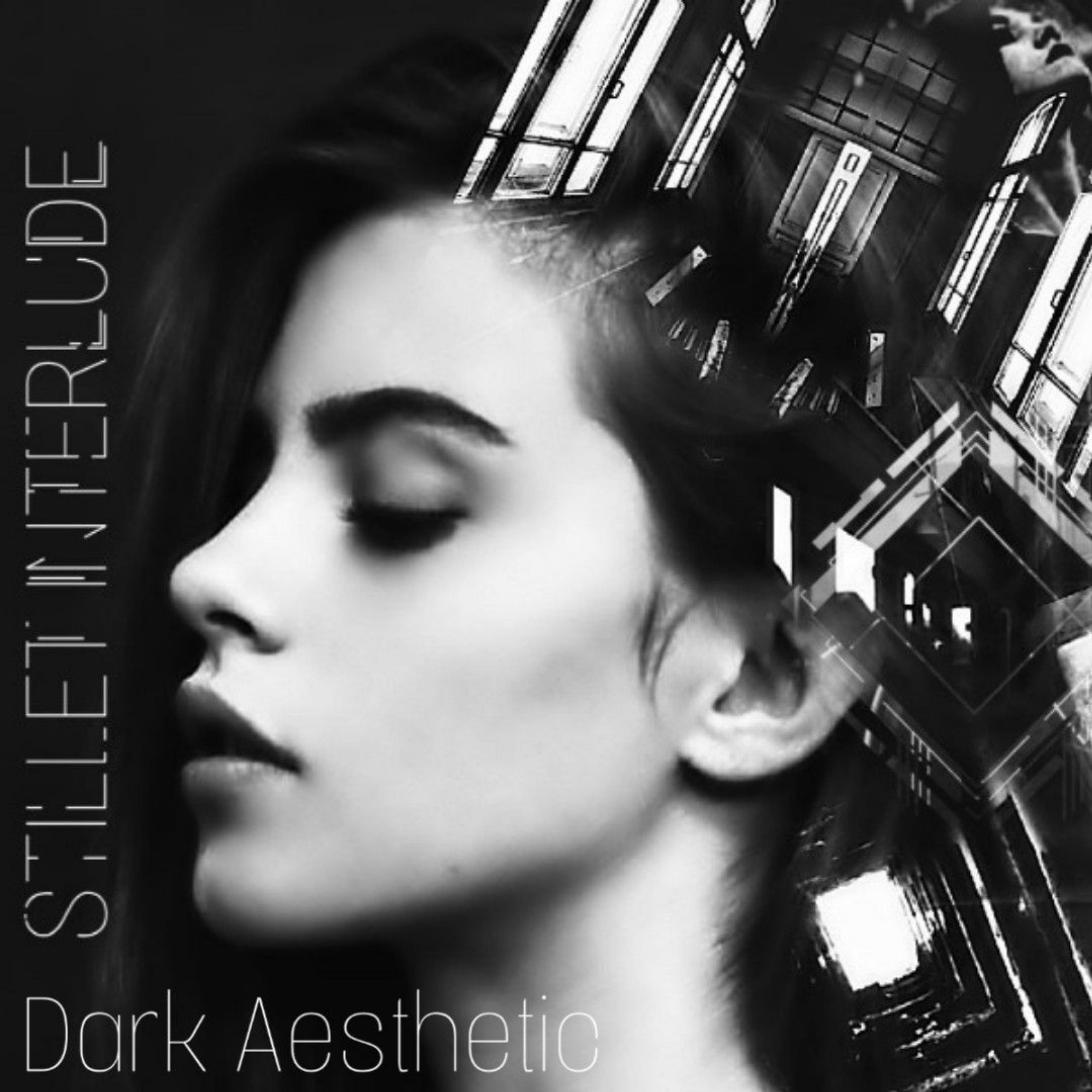 Постер альбома Dark Aesthetic