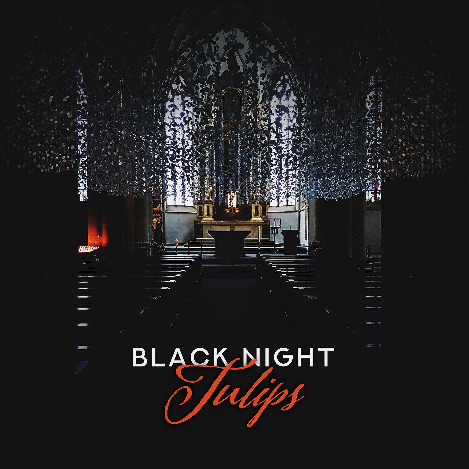 Постер альбома Black Night Tulips: Stay at Home, Inside the Acoustic Piano Covers