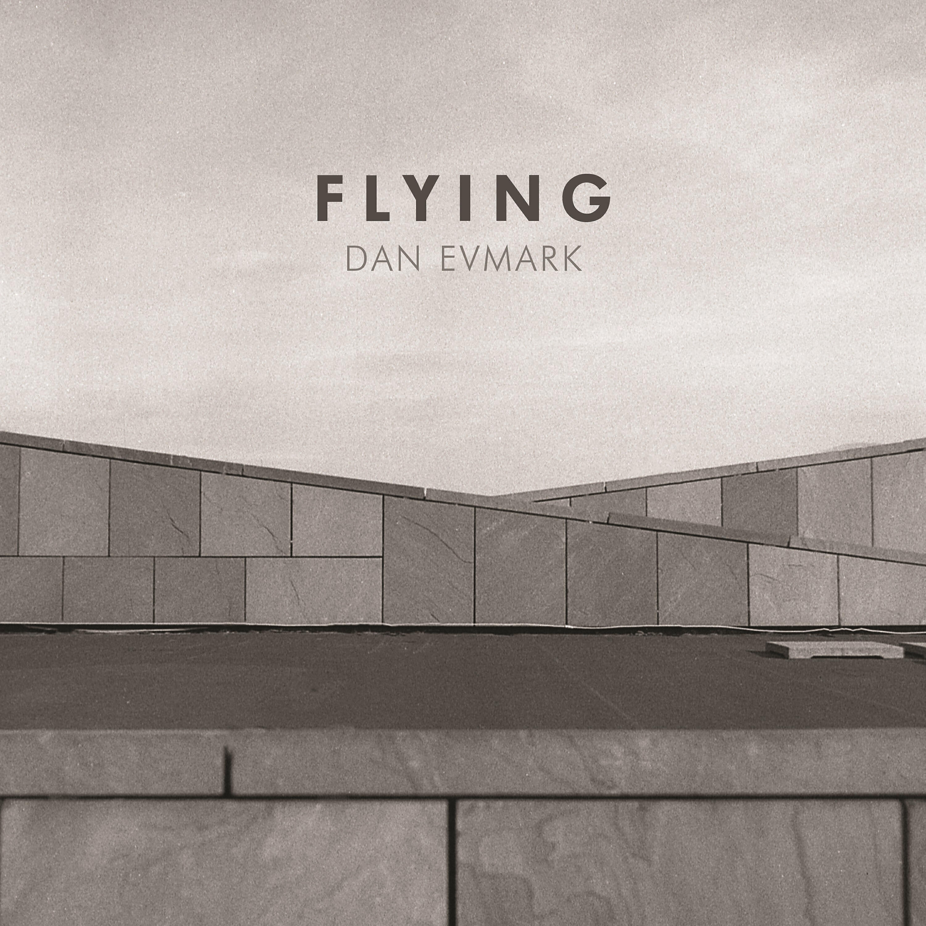 Dan Evmark - Flying