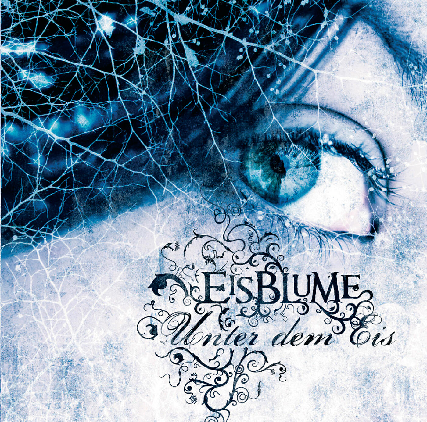 Eisblume - Zeit zu gehen