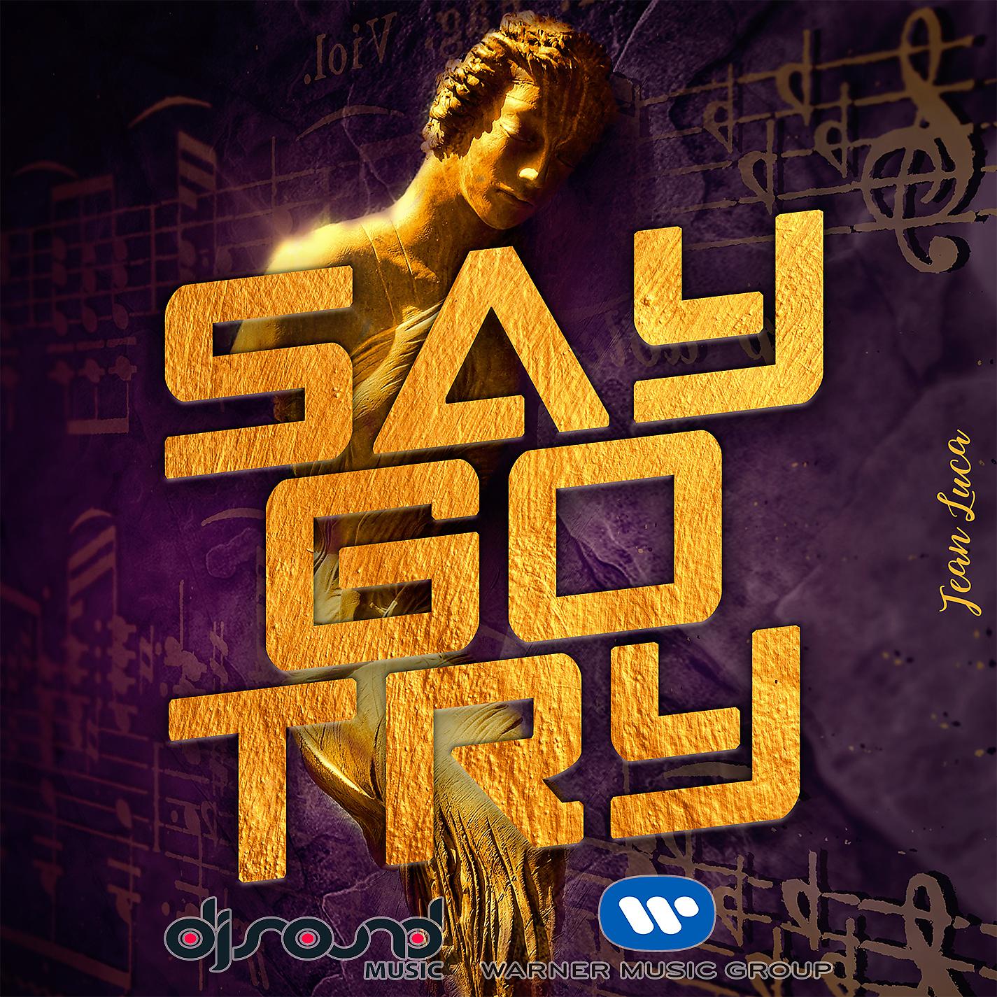 Постер альбома Say Go Try