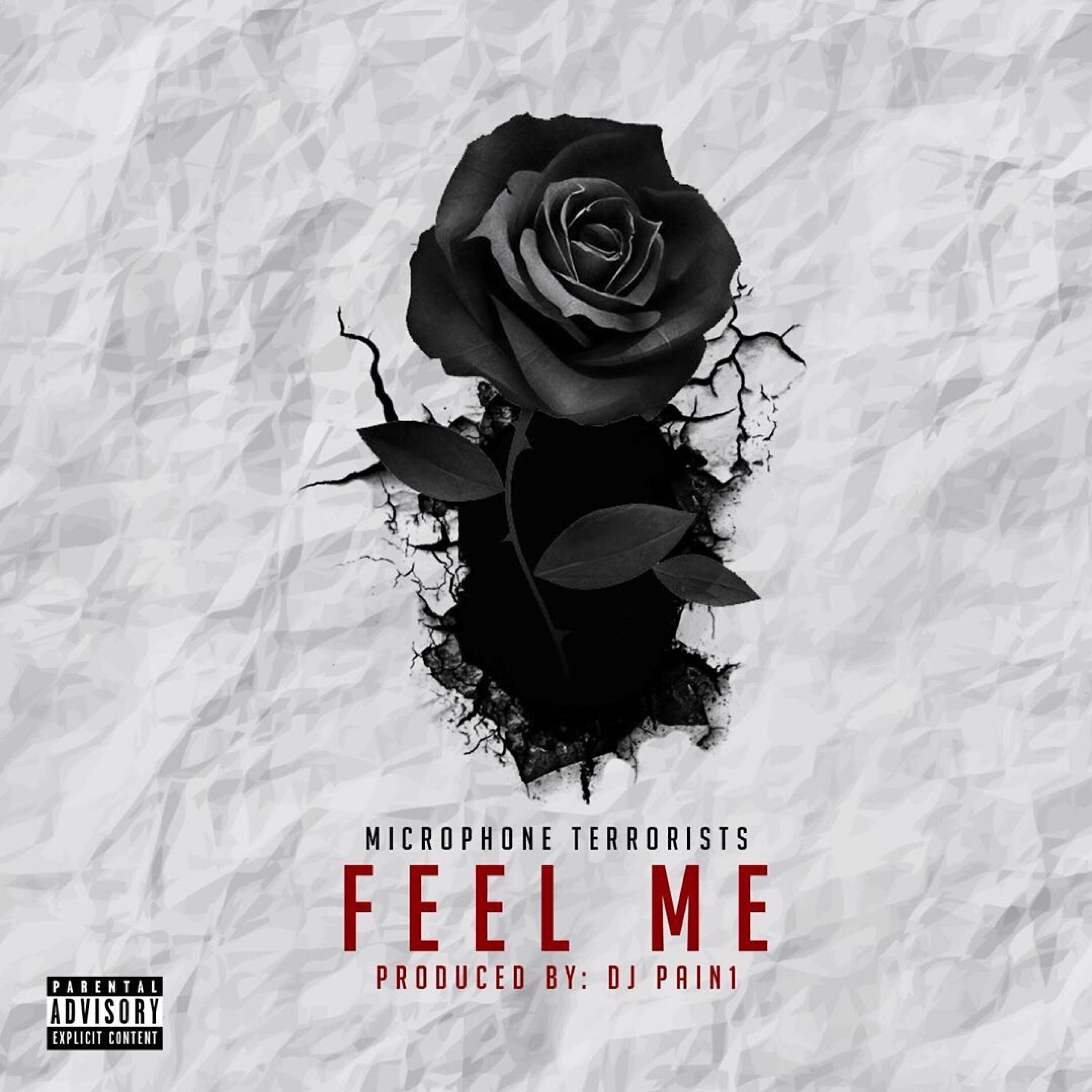 Microphone Terrorists - Feel Me