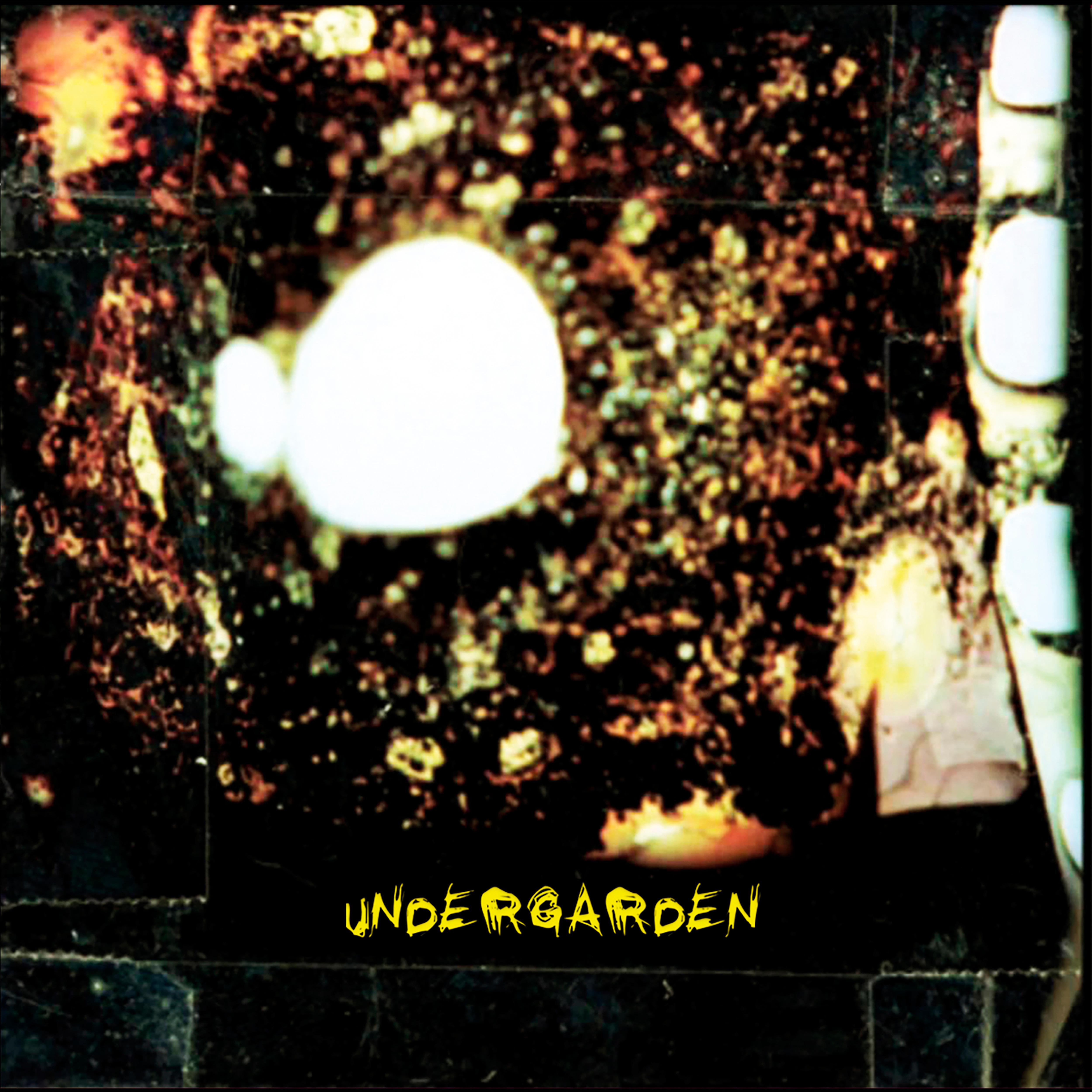 Постер альбома Undergarden