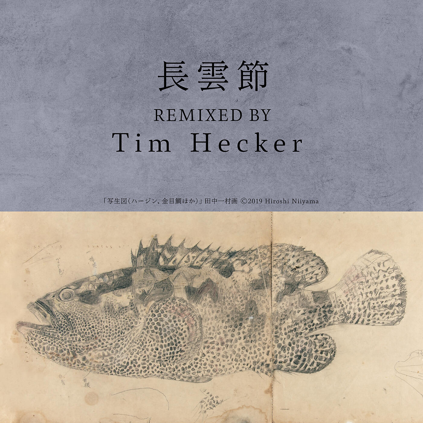 Chitose Hajime - Nagakumo Bushi (Tim Hecker Remix)