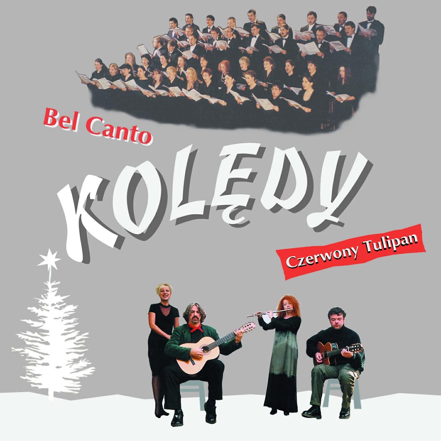 Czerwony Tulipan - Cicha noc