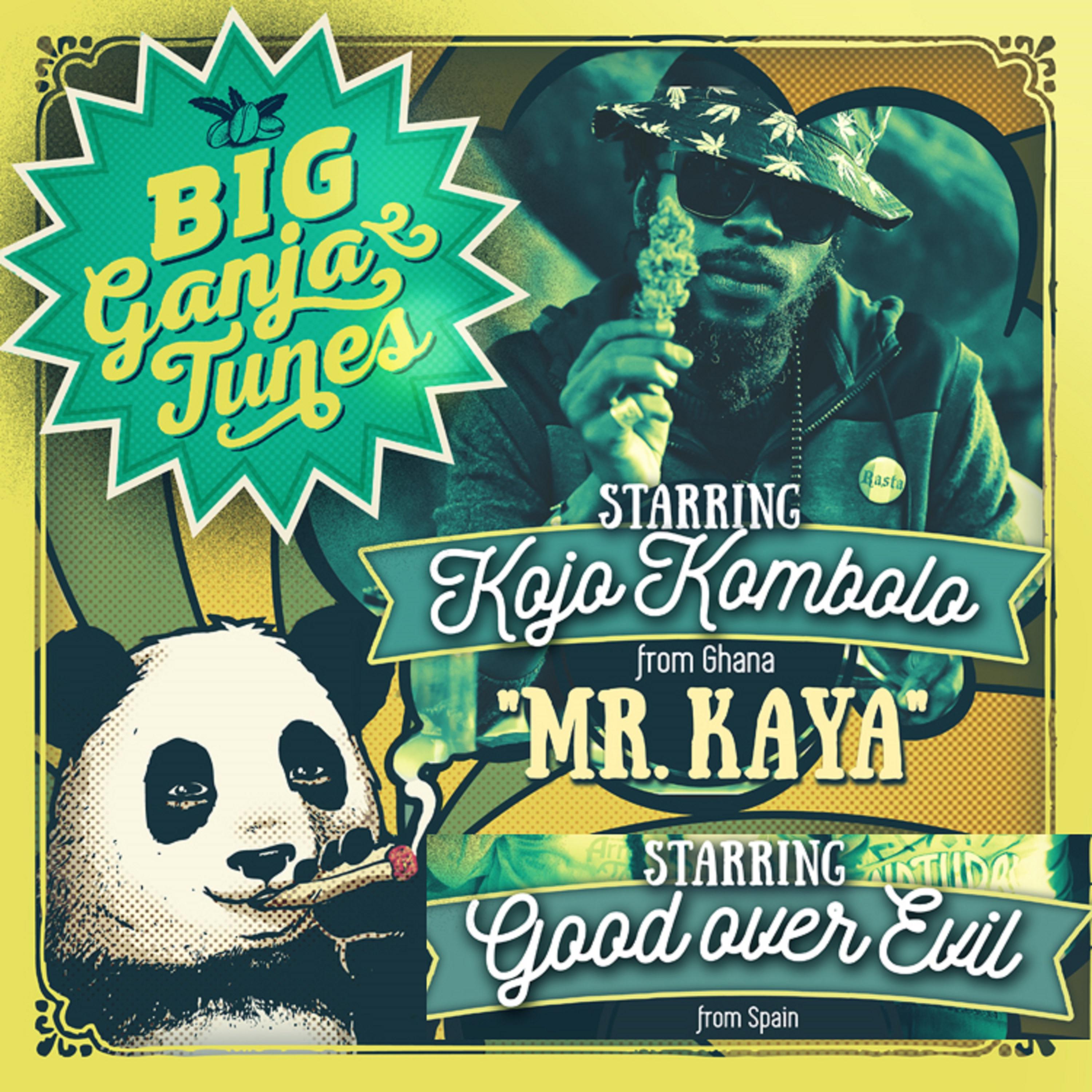 Постер альбома Mr. Kaya